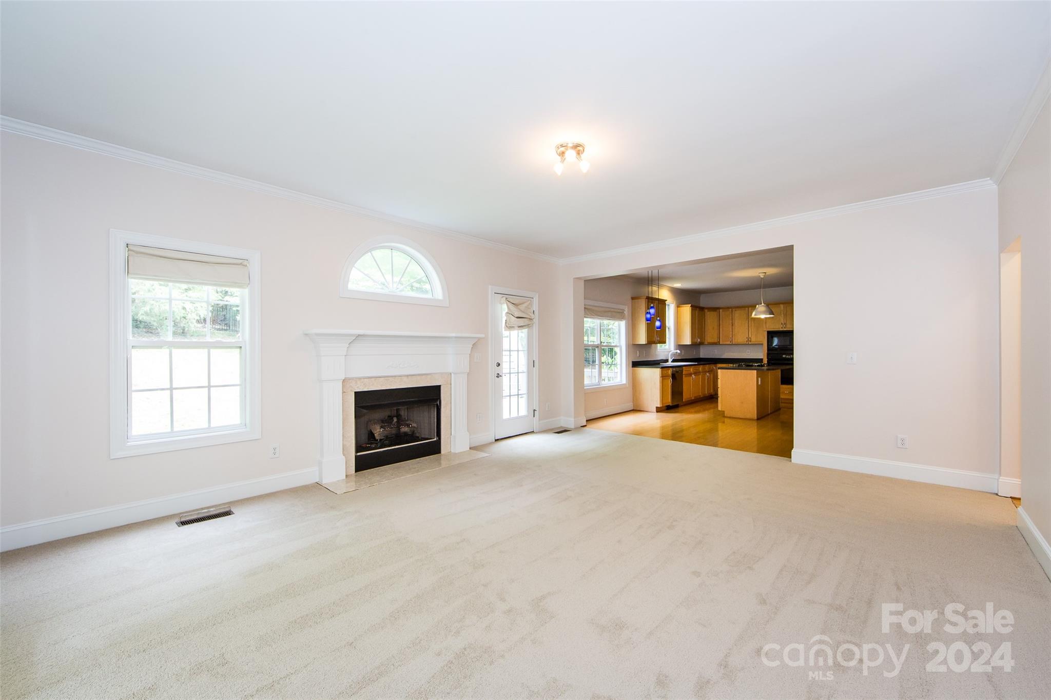 13808 Ballantyne Meadows Drive