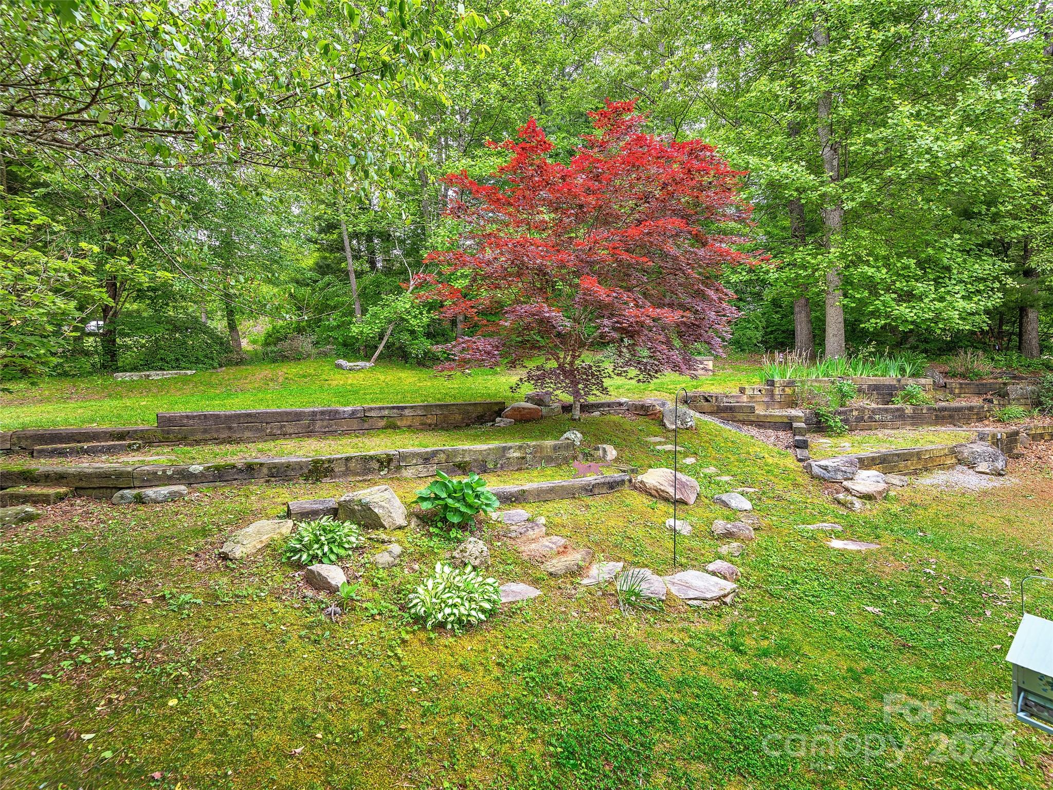 129 Terrace Field Trail
