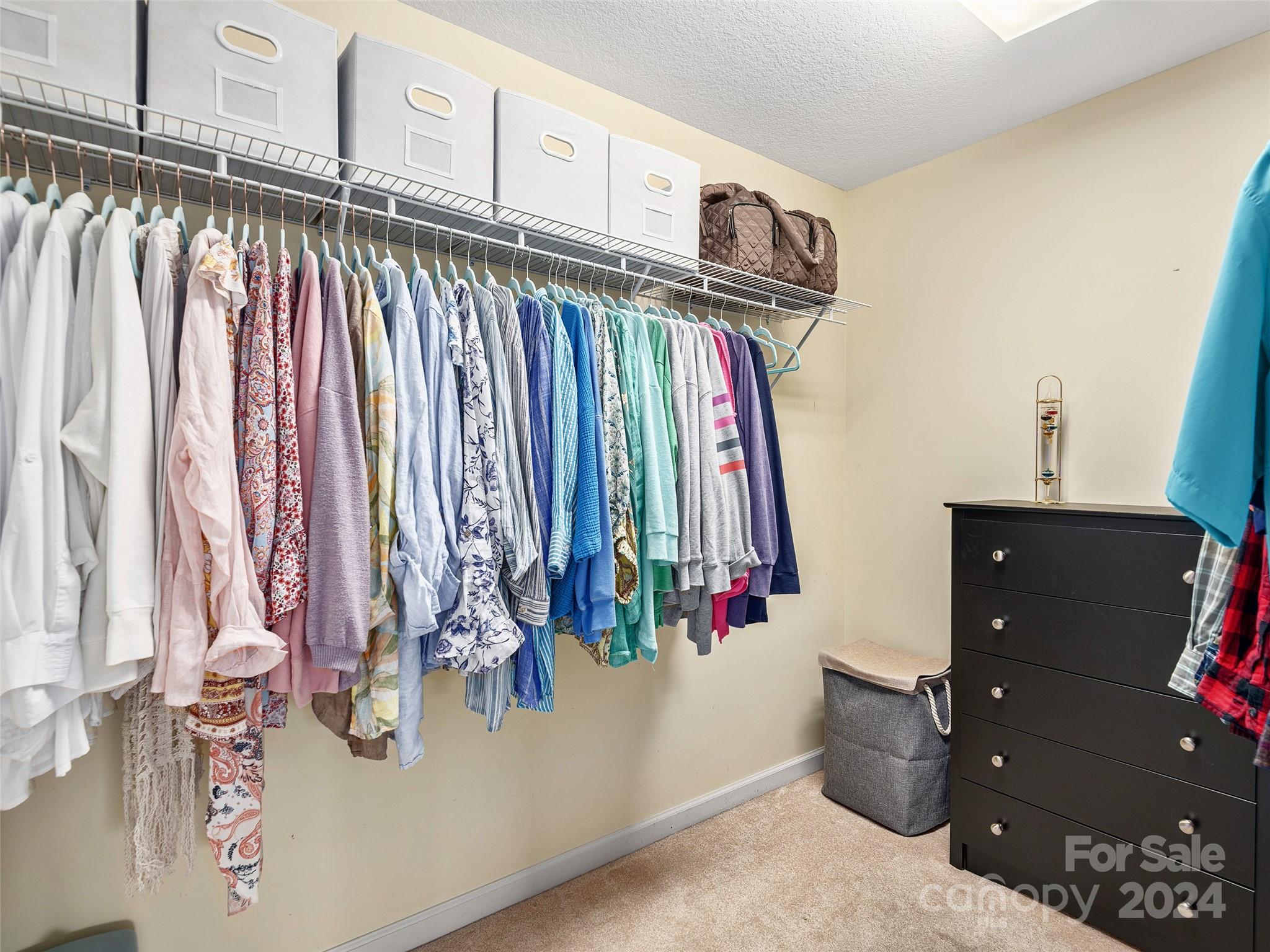 129 Terrace Field Trail