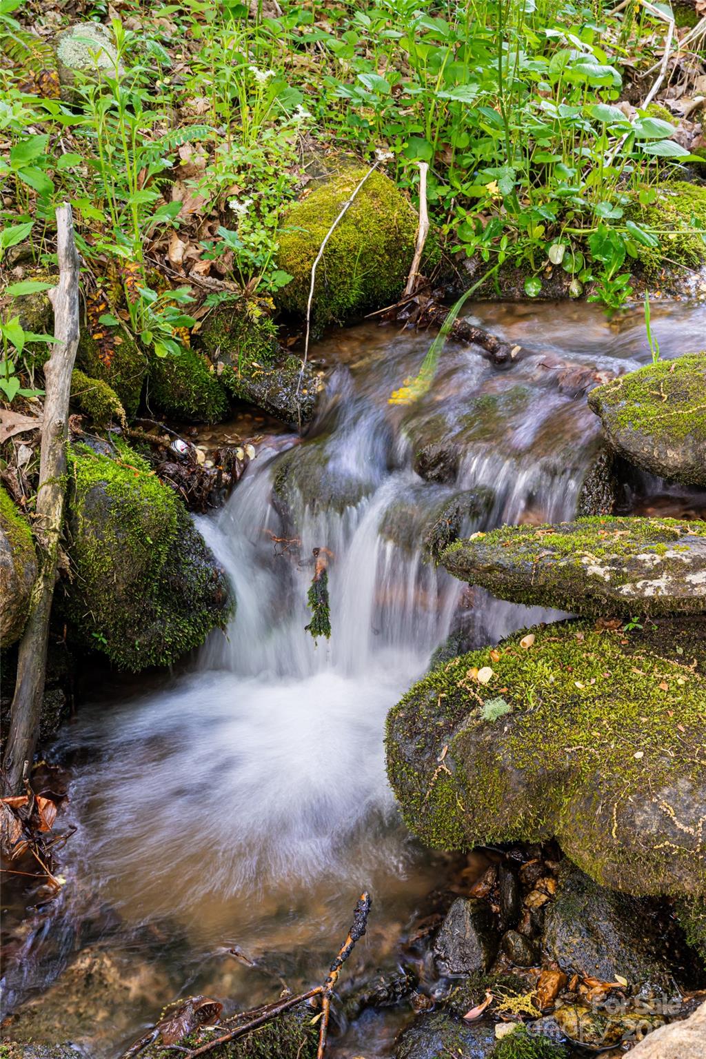 360 Blackberry Inn Road