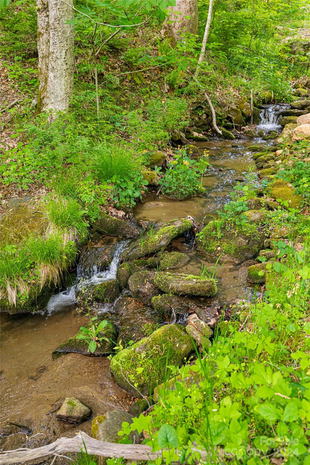 360 Blackberry Inn Road