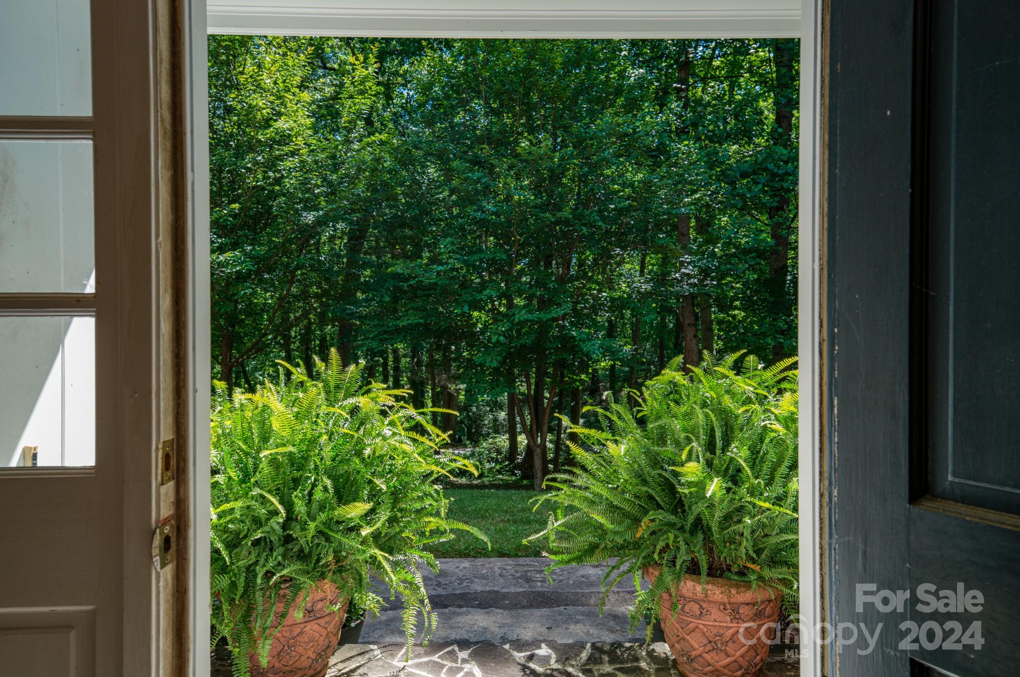 13 Forest Road