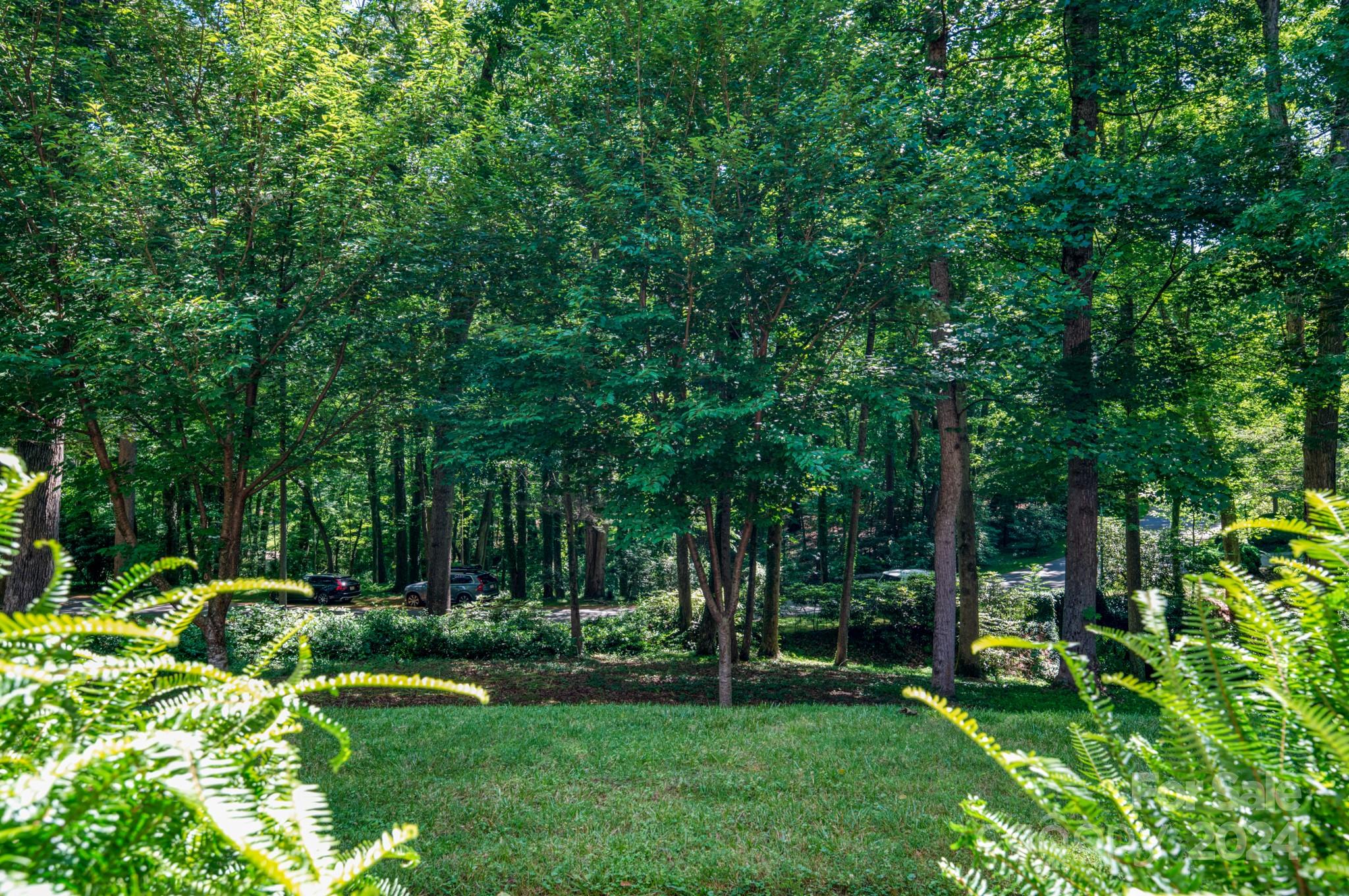 13 Forest Road