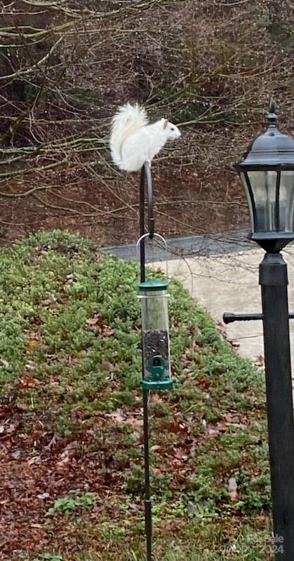 124 Jenny Lind Drive