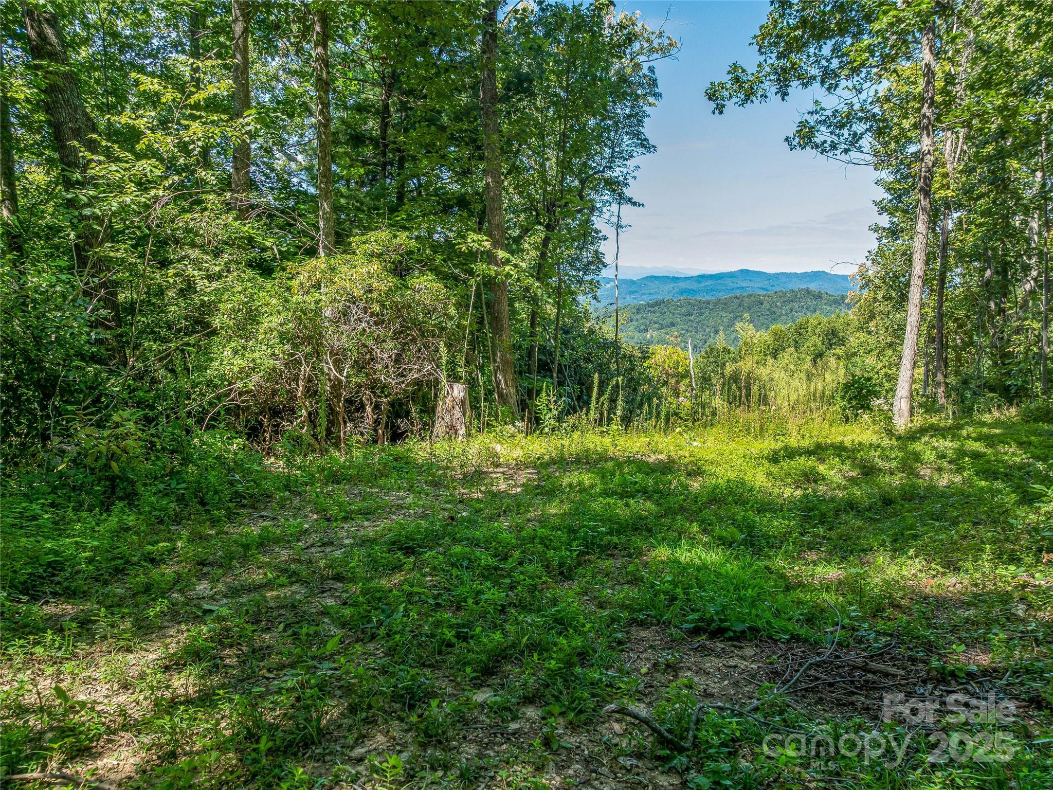 632 Justus Case Mountain Place