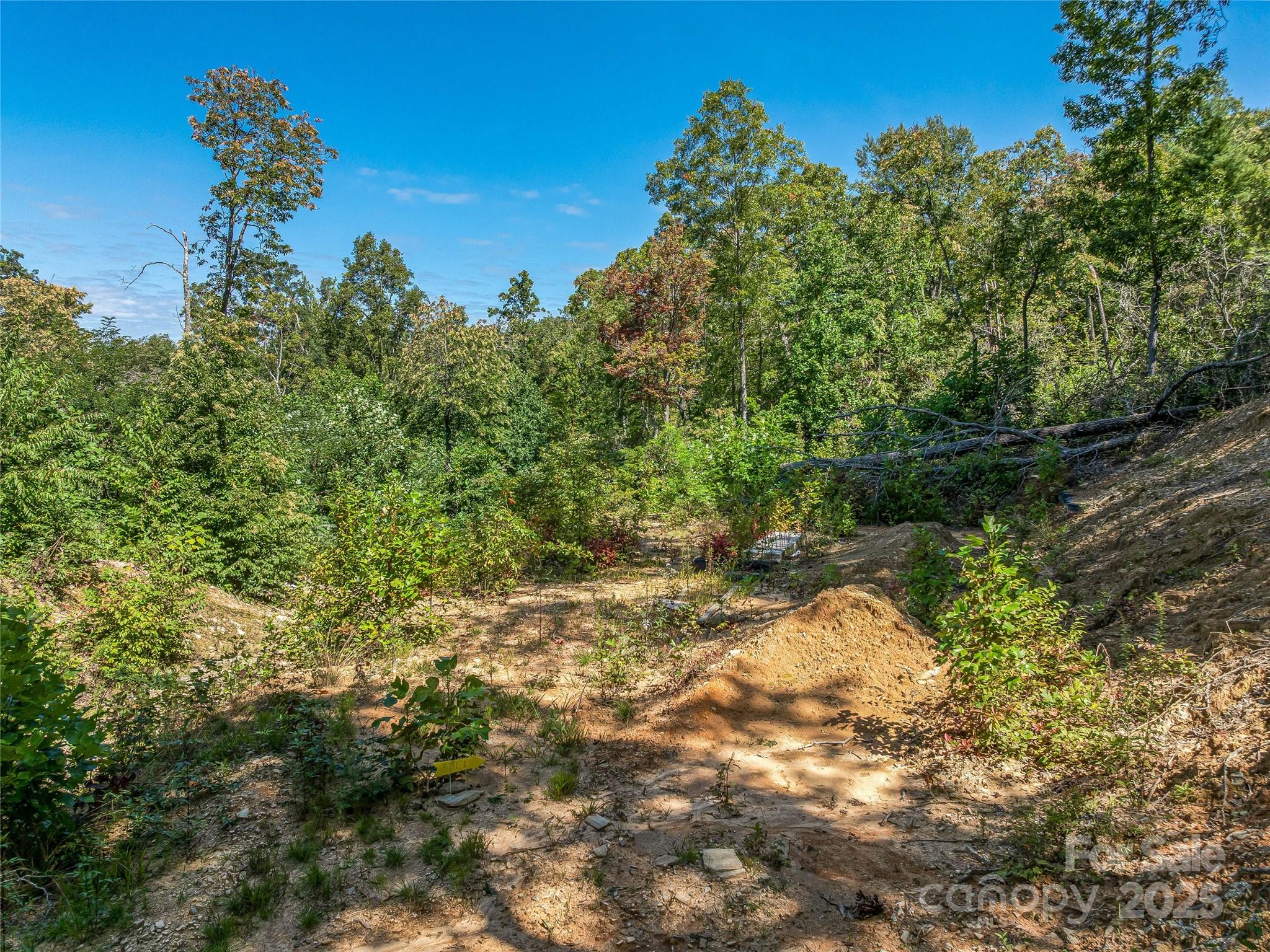 632 Justus Case Mountain Place