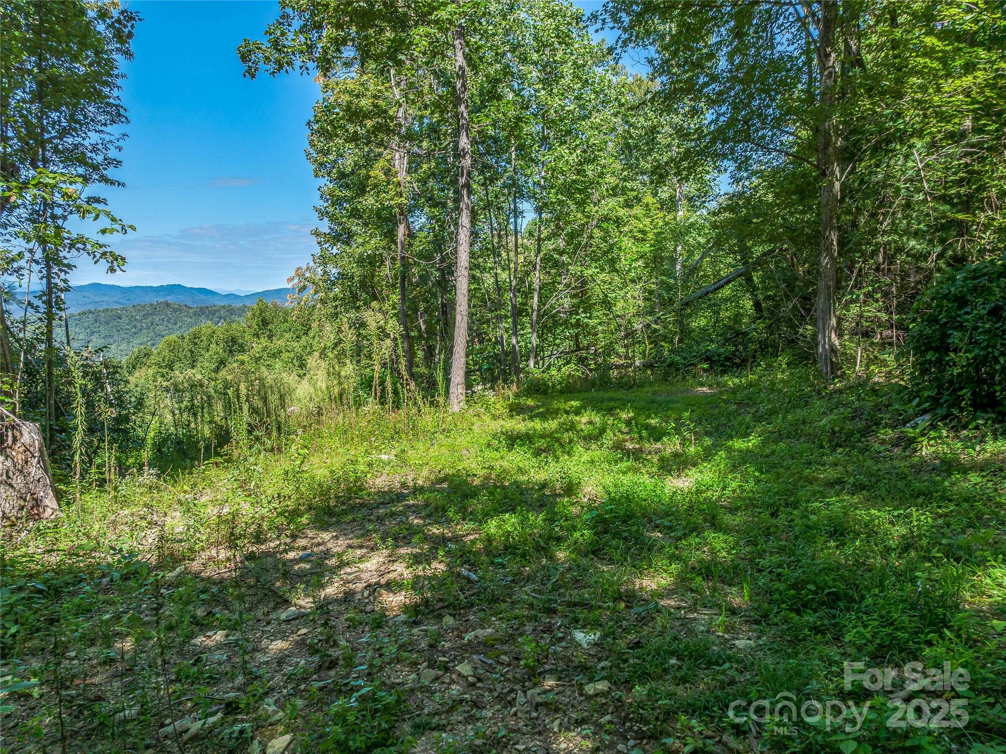 632 Justus Case Mountain Place