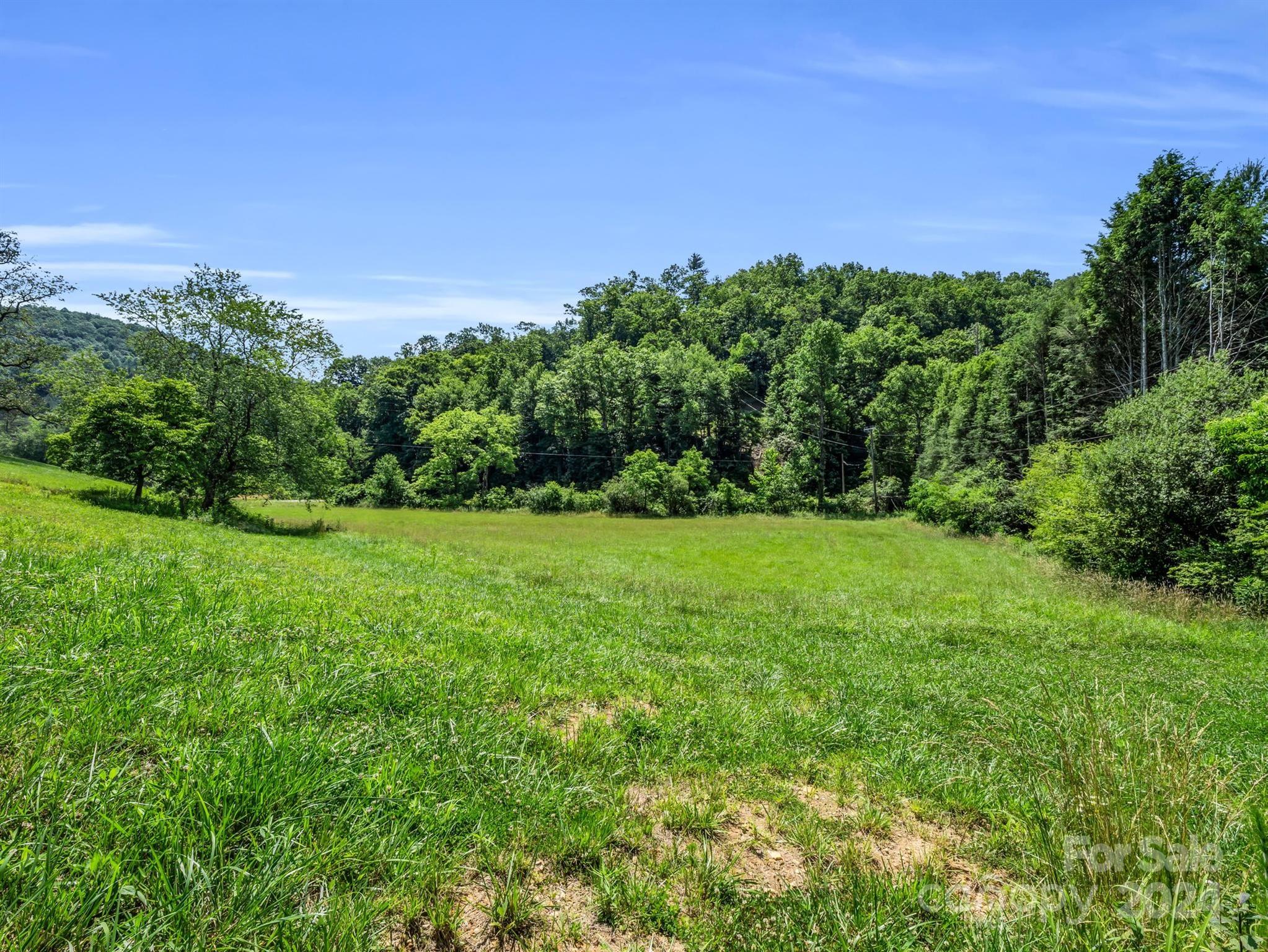 715 Dave Whitaker Road