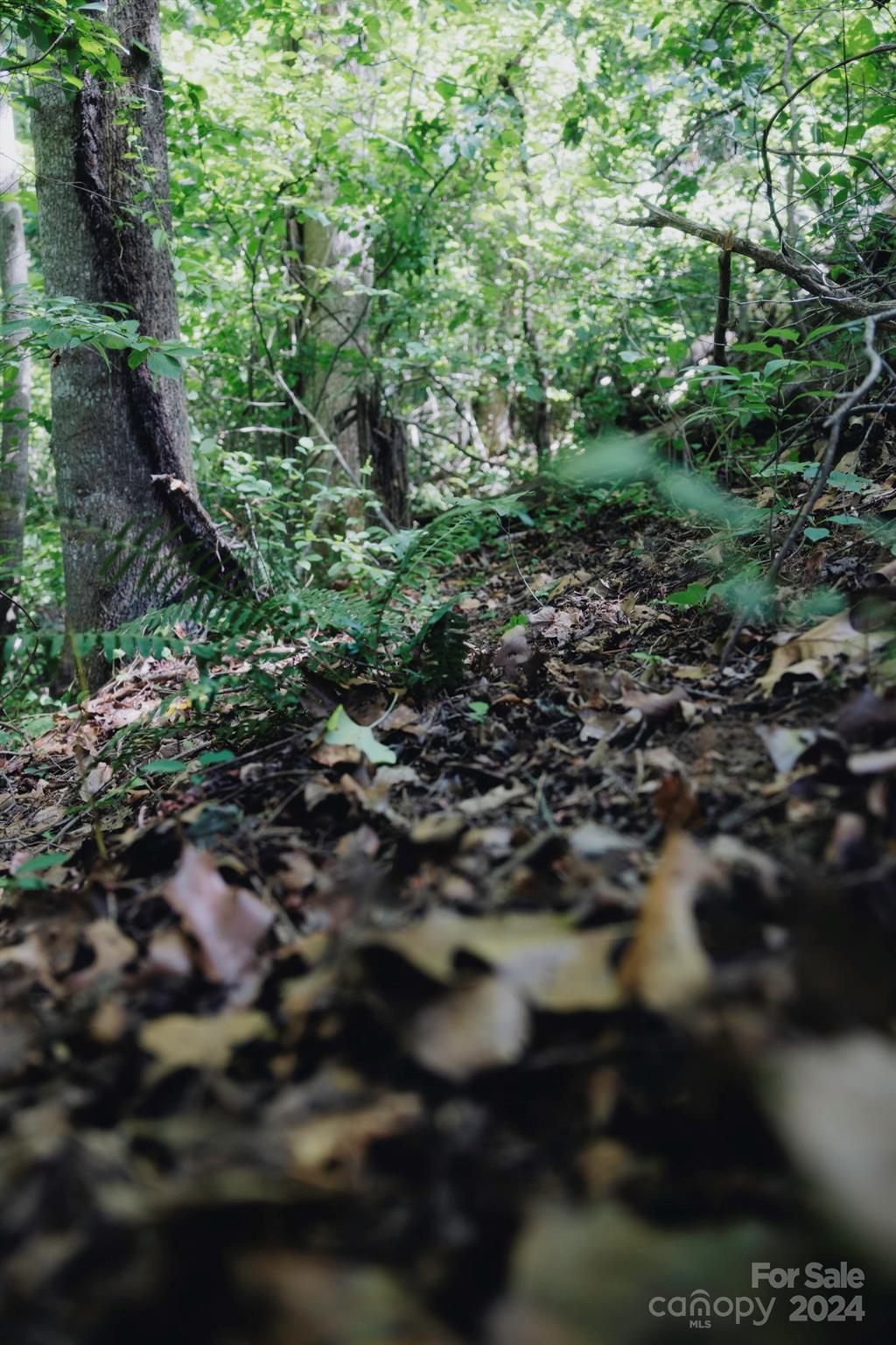 362 Glen Valley Drive Unit: 199