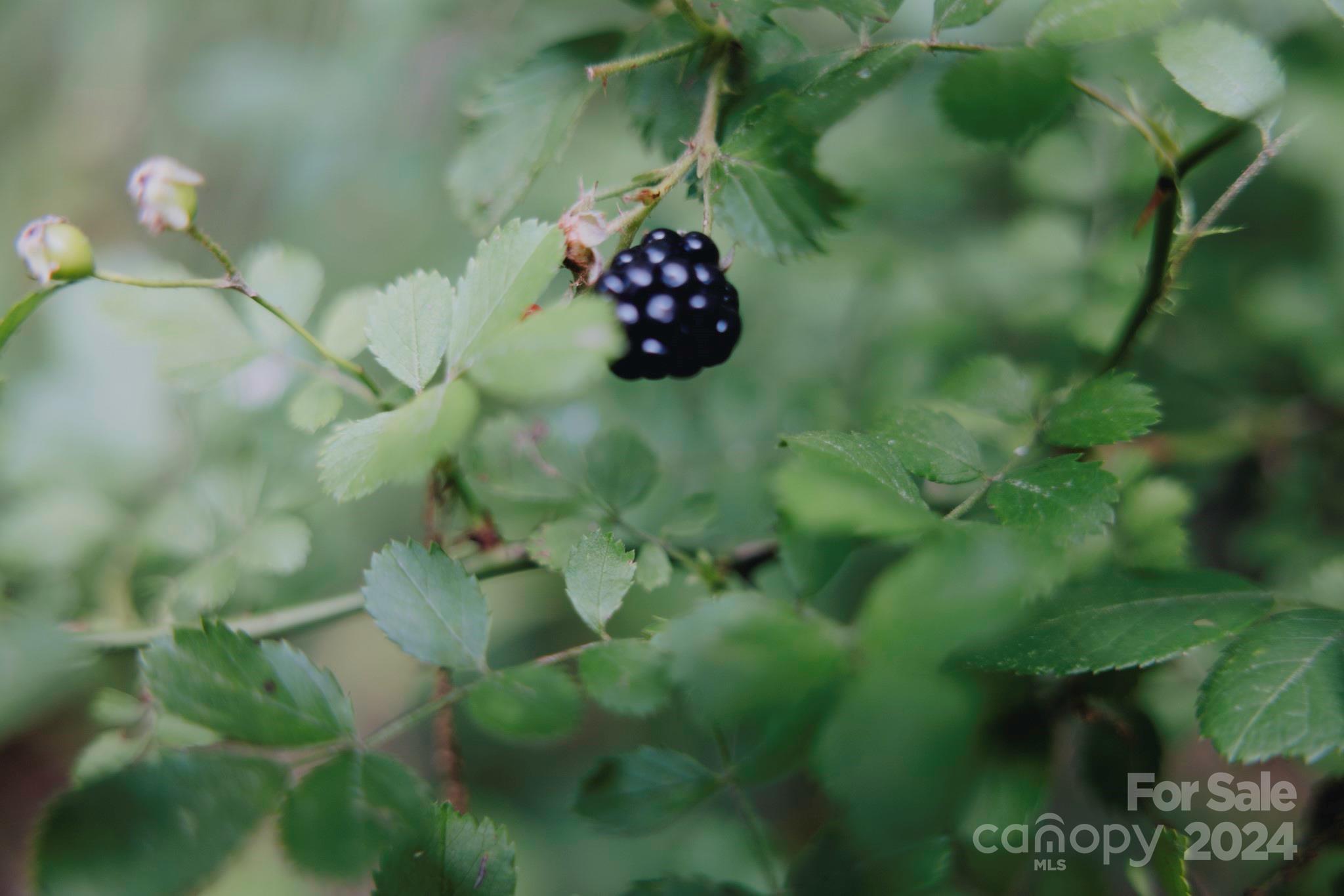 362 Glen Valley Drive Unit: 199