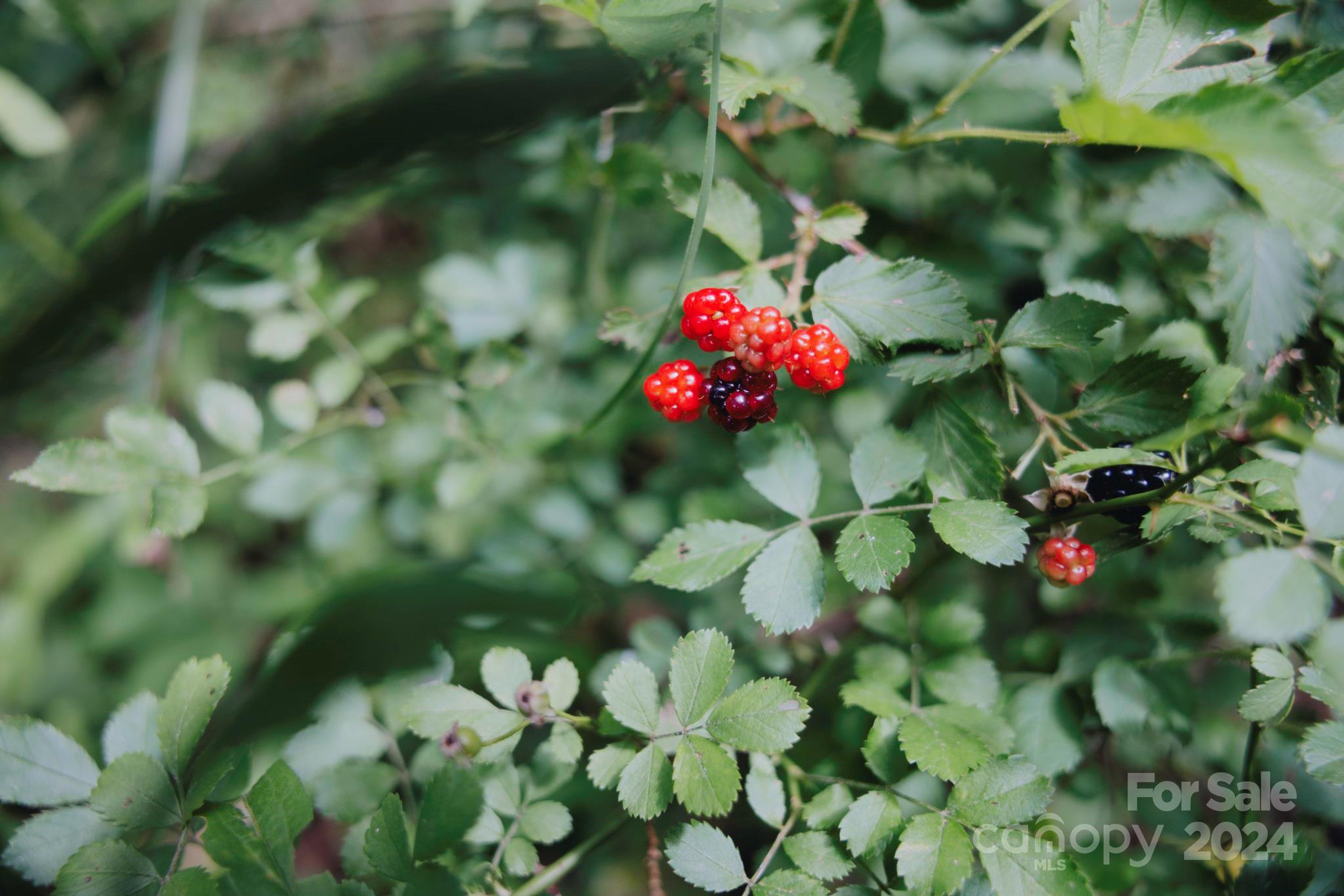 362 Glen Valley Drive Unit: 199