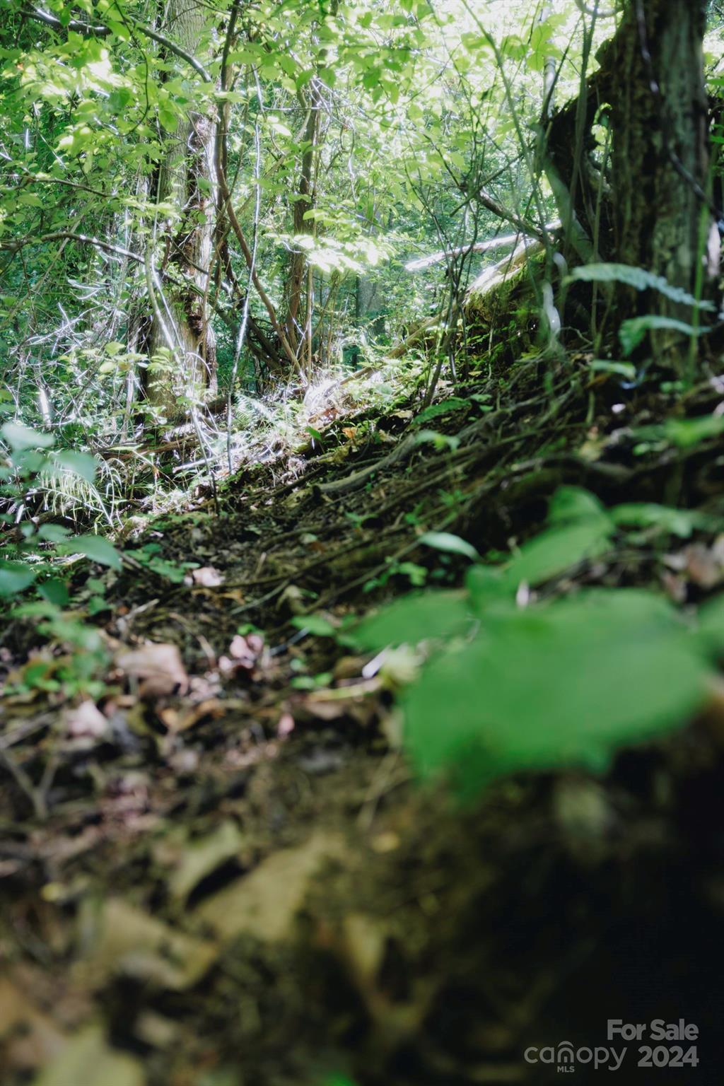 362 Glen Valley Drive Unit: 199