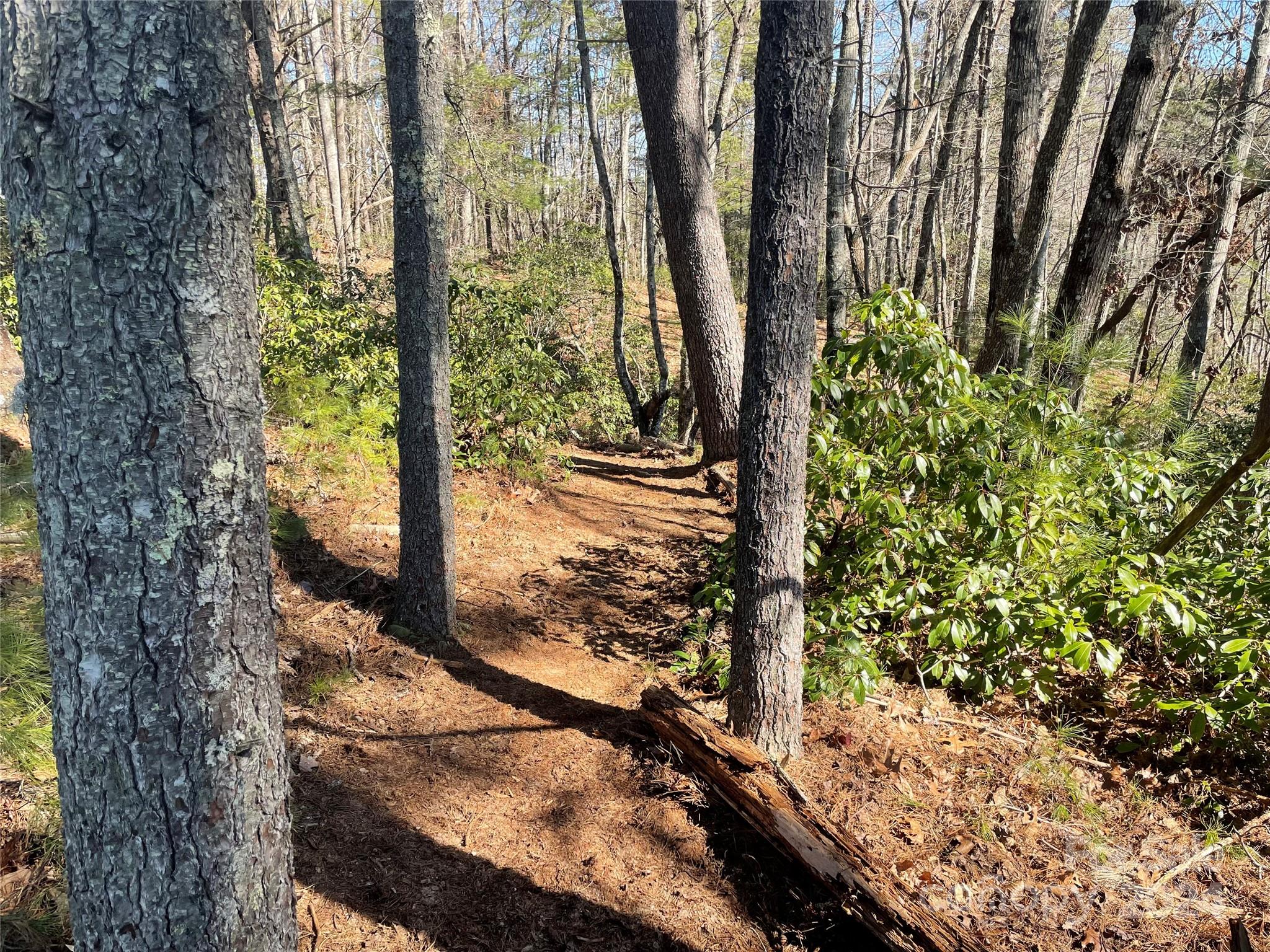 134 & 140 Hawksnest Drive