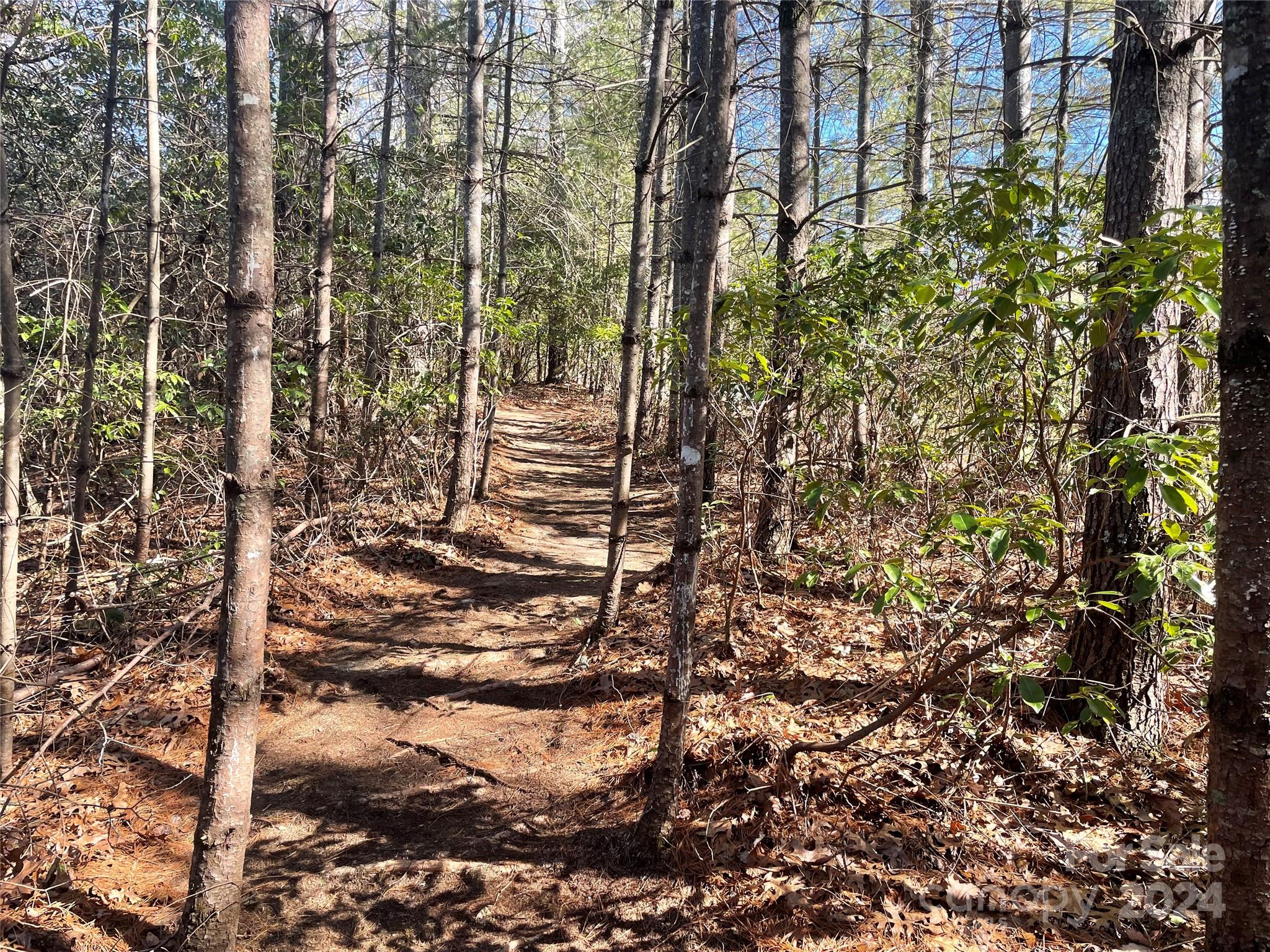 134 & 140 Hawksnest Drive