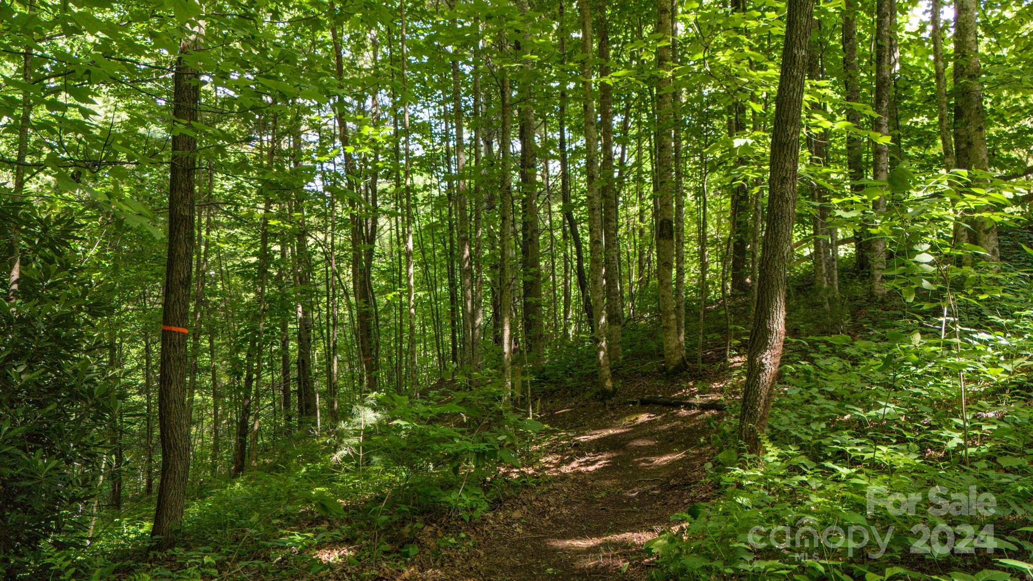 63 Tree Haven Road