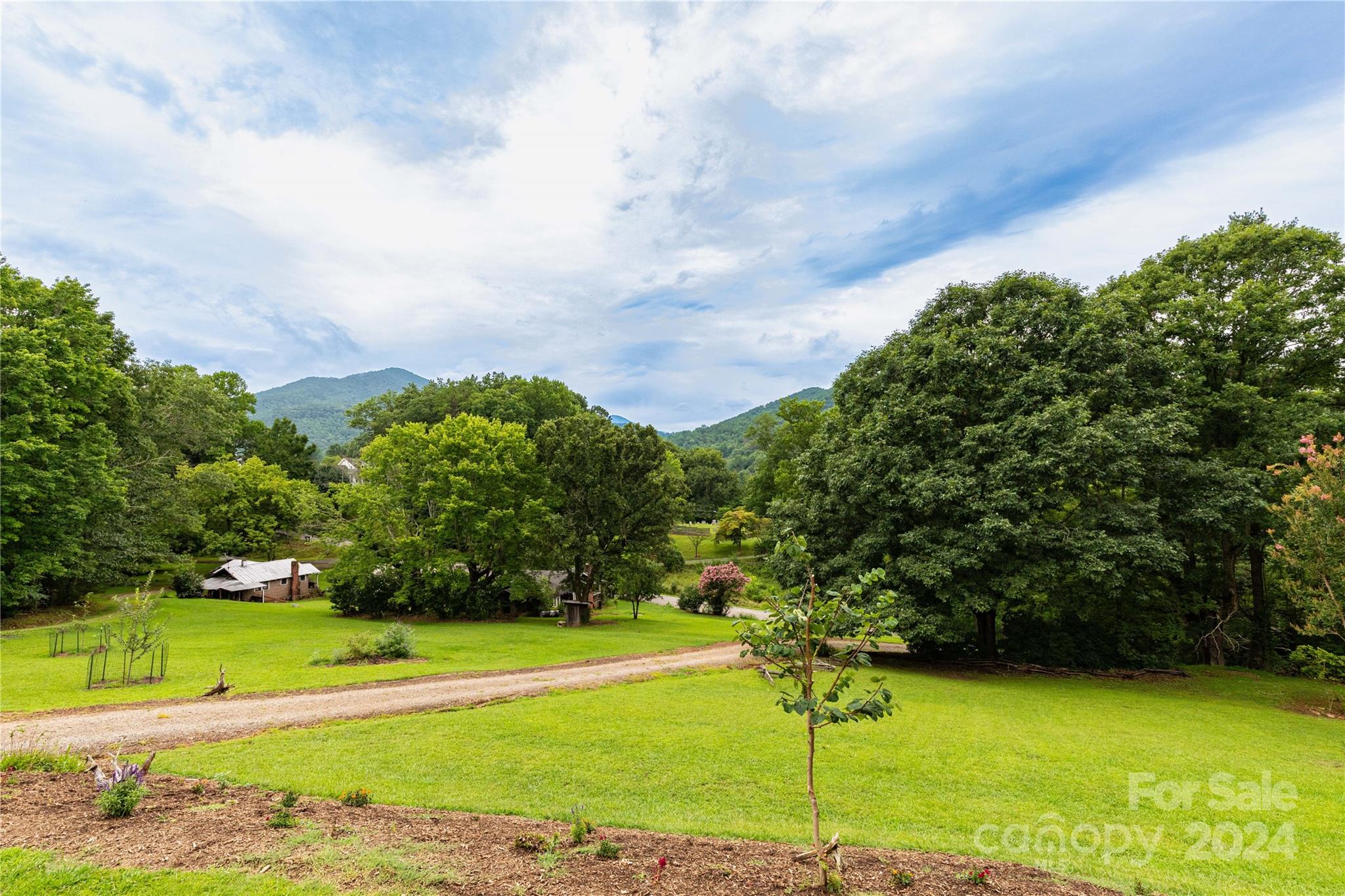 360 Beaverdam Loop Road