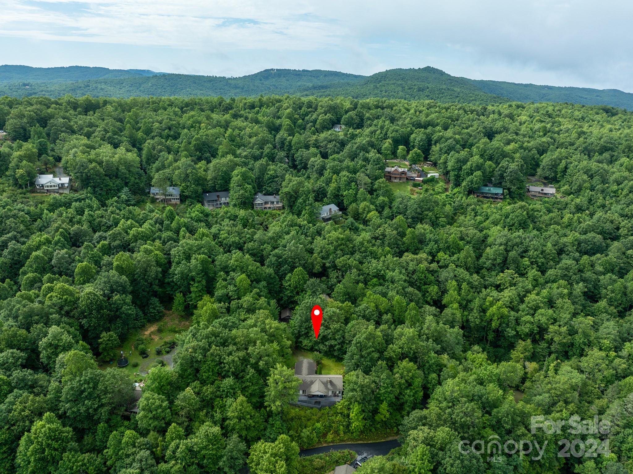 259 Blue Ridge Overlook Drive