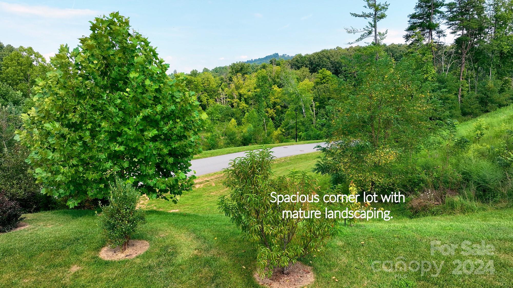 237 Water Leaf Drive