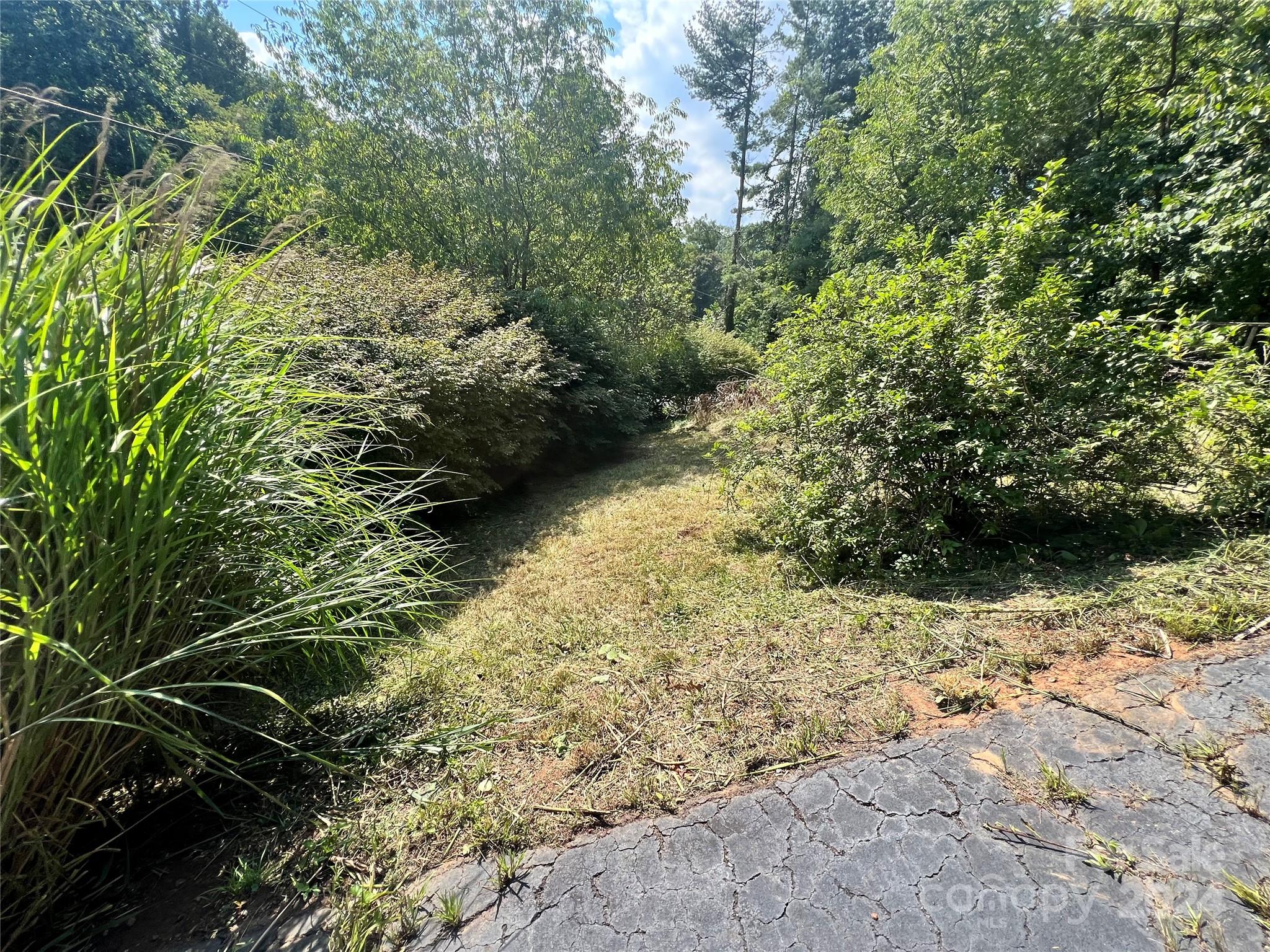 440 Dogwood Road