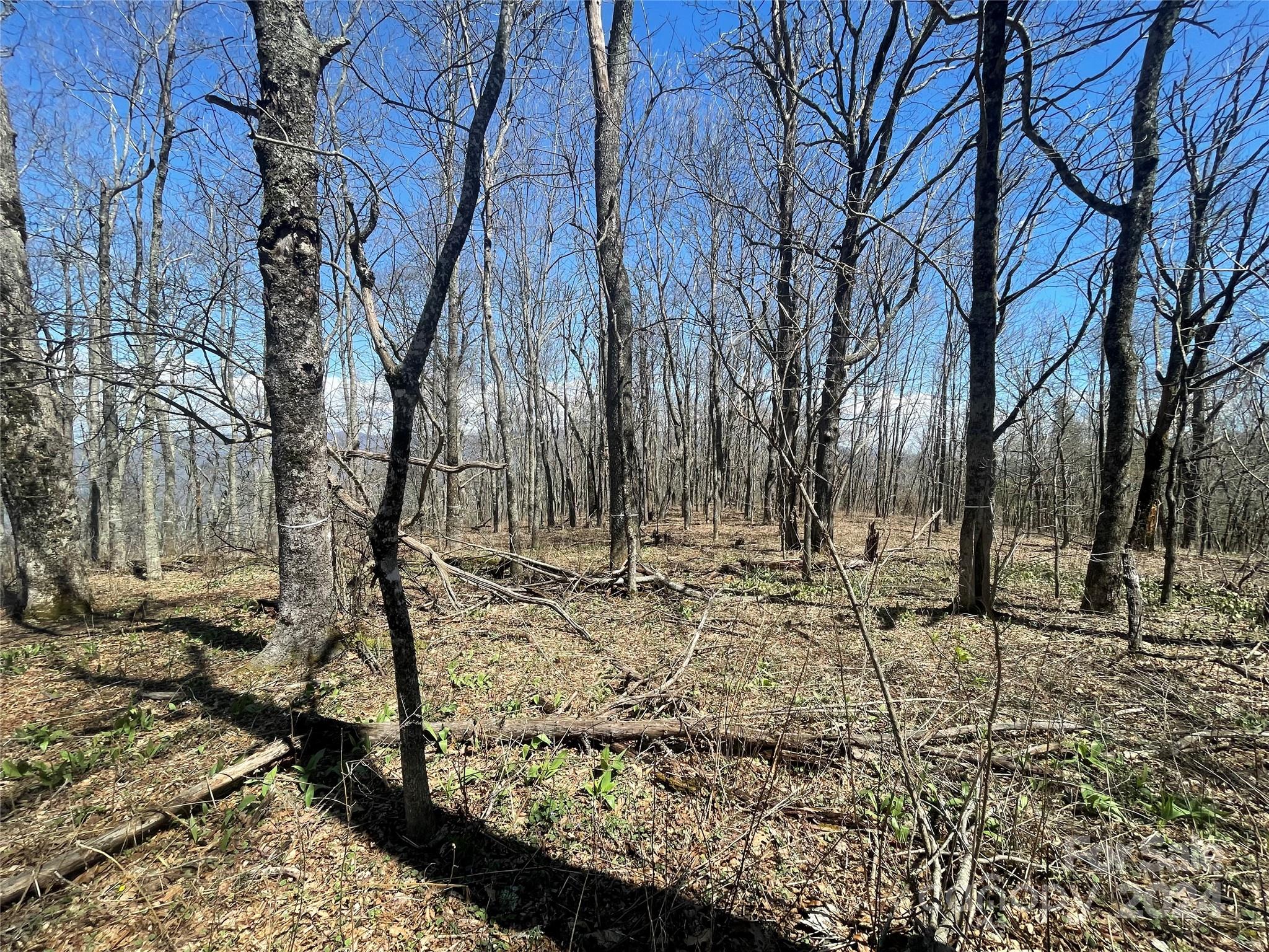 99999 Fairview Forest Drive Unit: Parcel 2