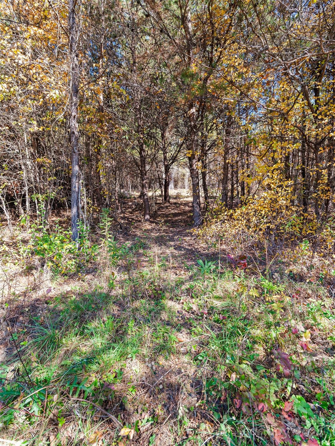 30 Ratcliff Ridge Road