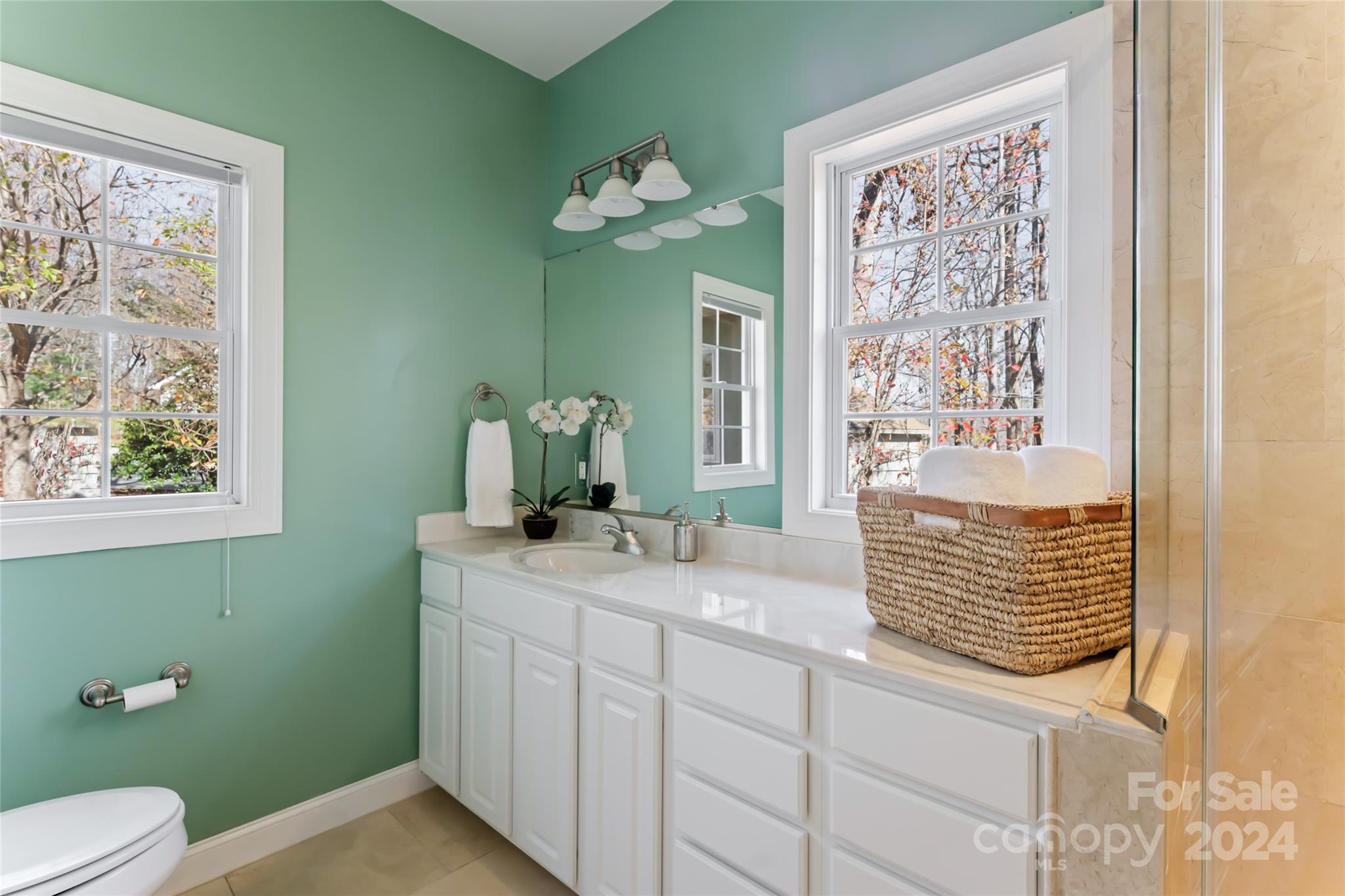 2508 Carriage Falls Court
