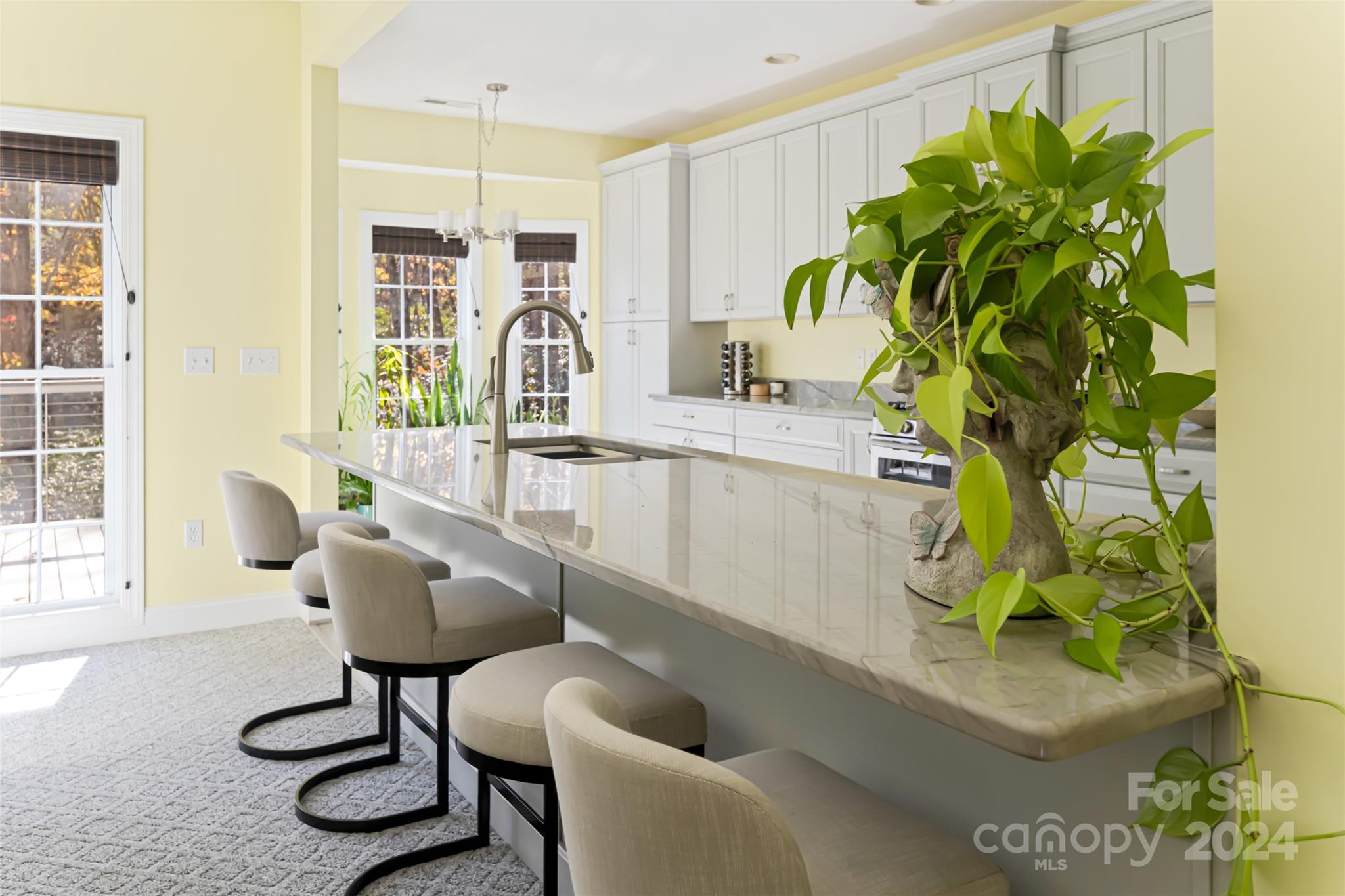 2508 Carriage Falls Court
