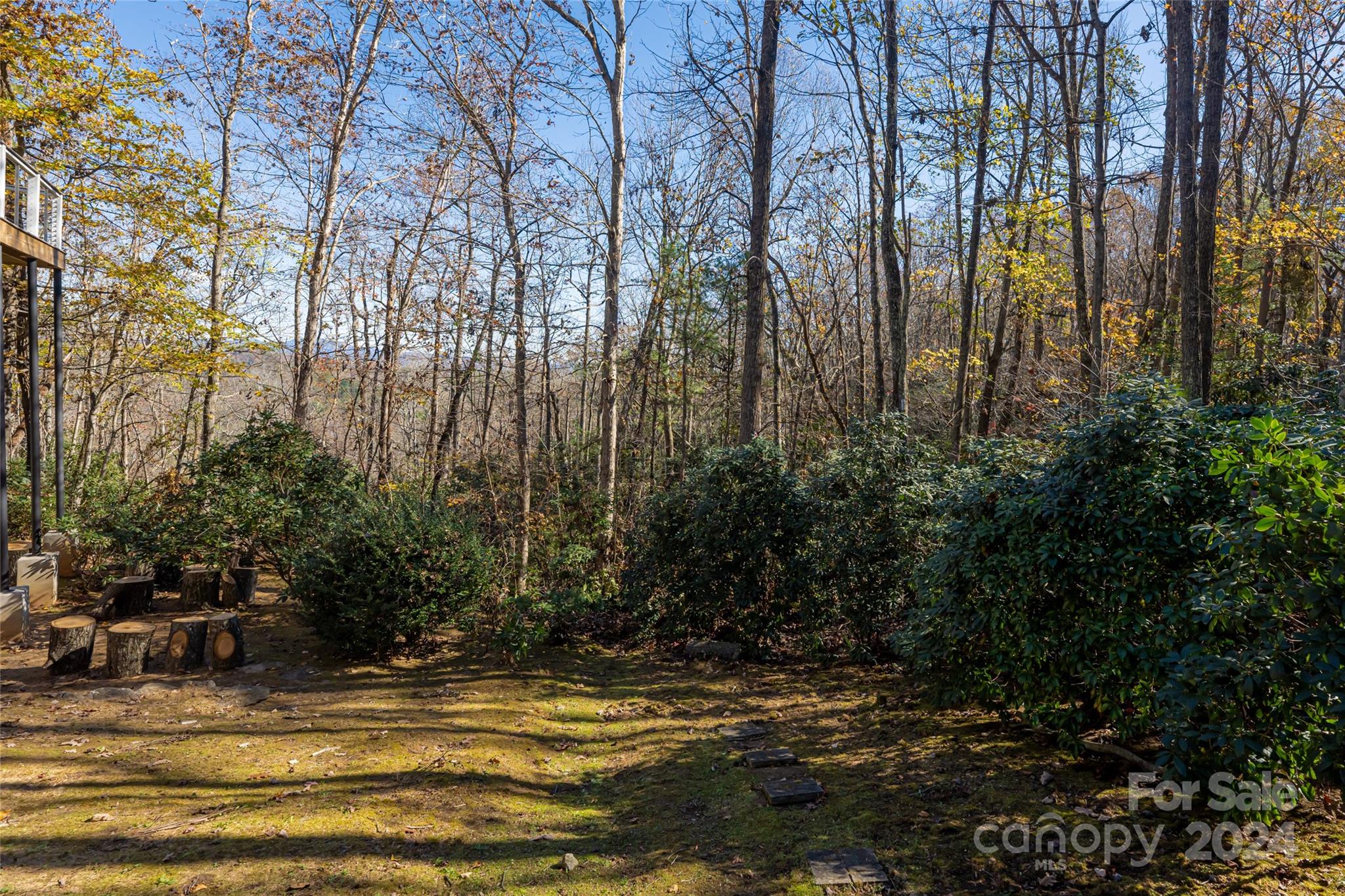 2508 Carriage Falls Court