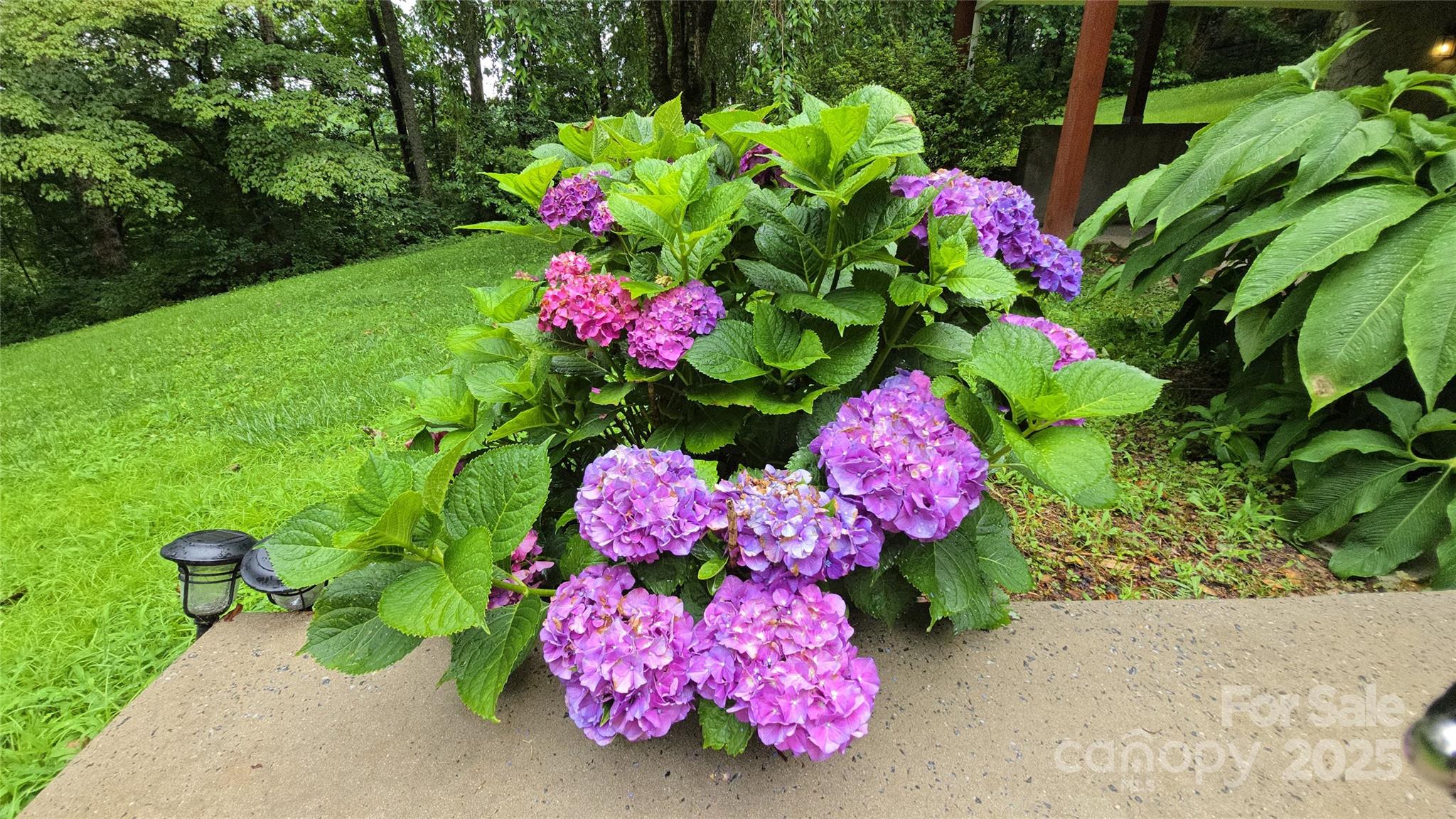 336 Winding Way Lane