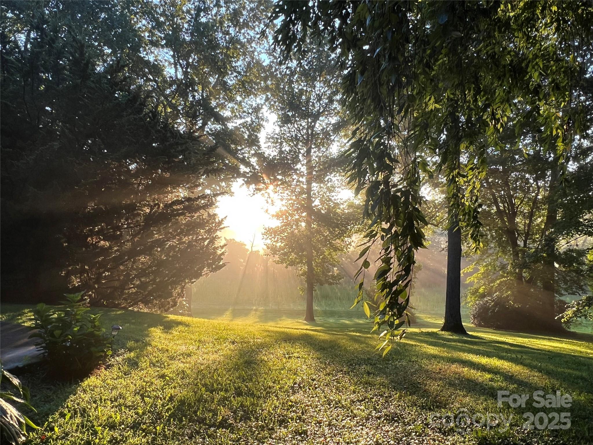 336 Winding Way Lane