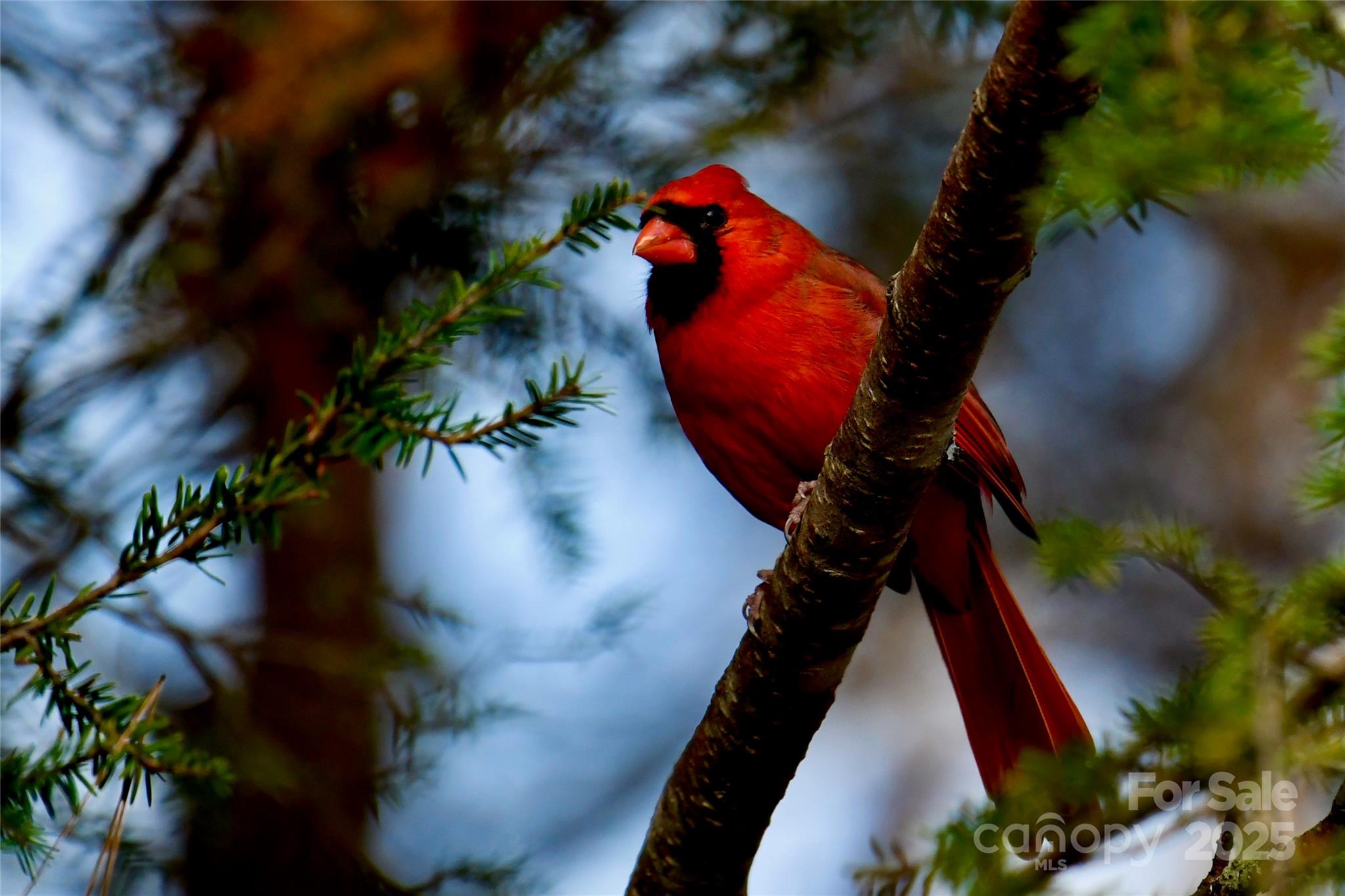 336 Winding Way Lane