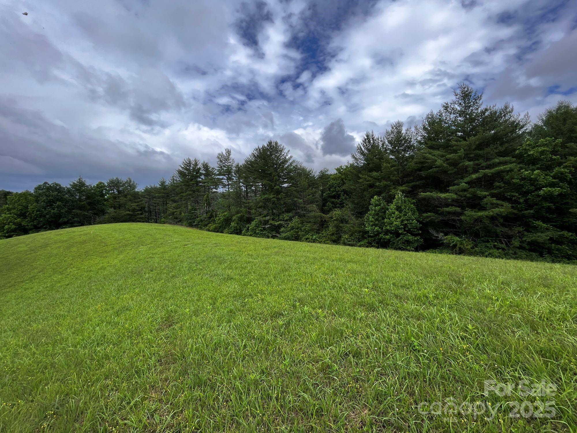 3717 Bend Of Ivy Road