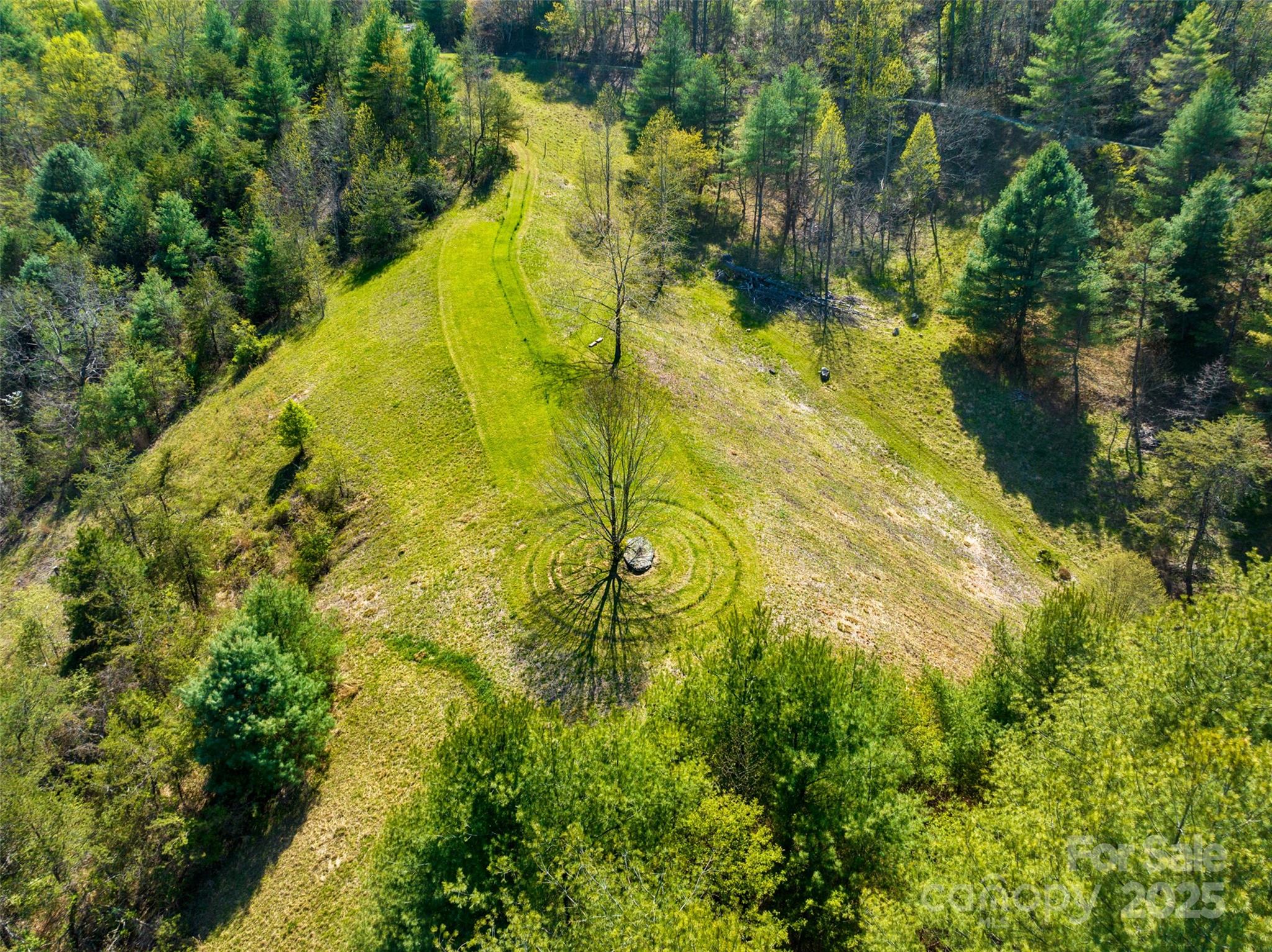 3717 Bend Of Ivy Road