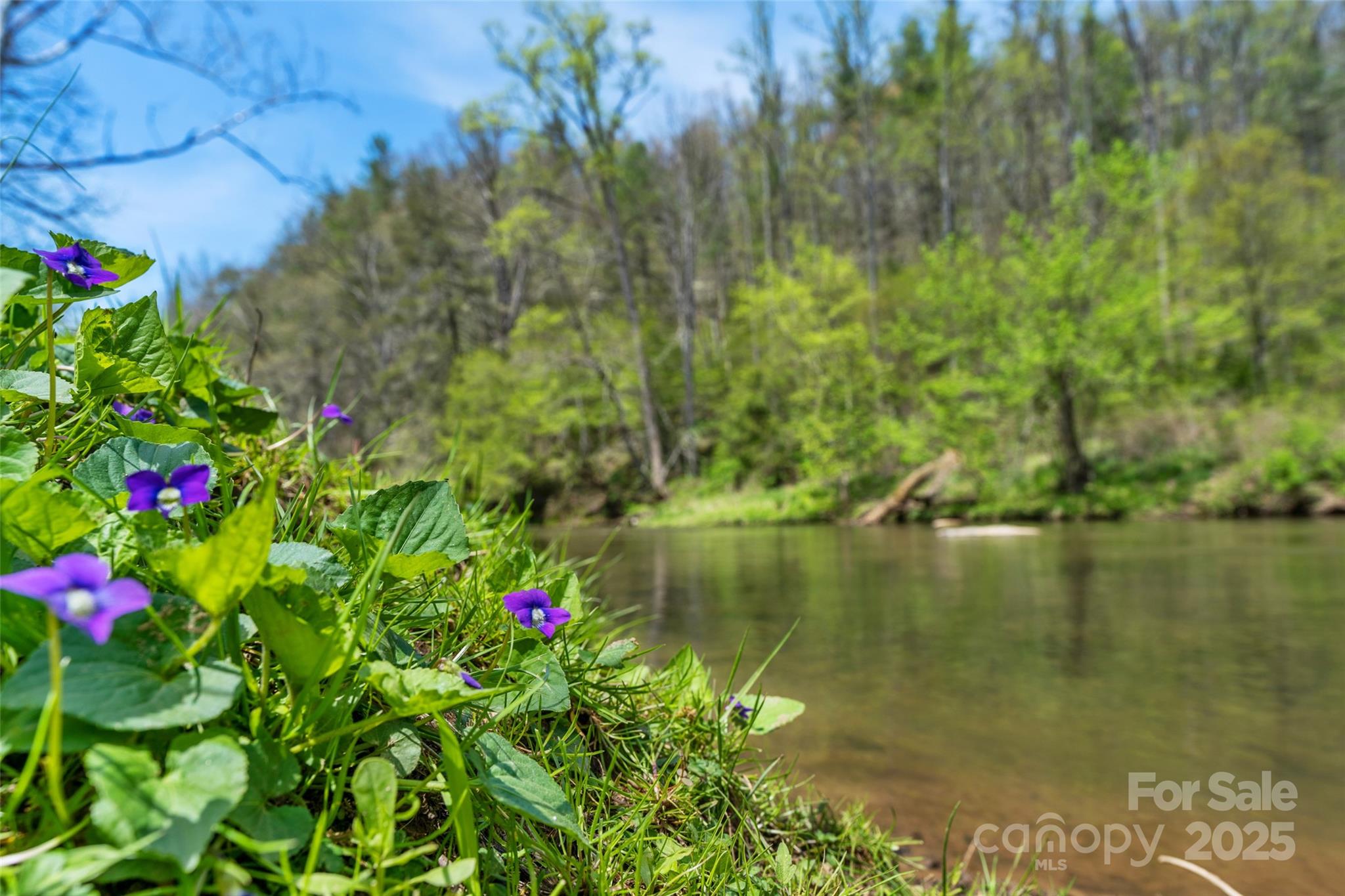 3717 Bend Of Ivy Road