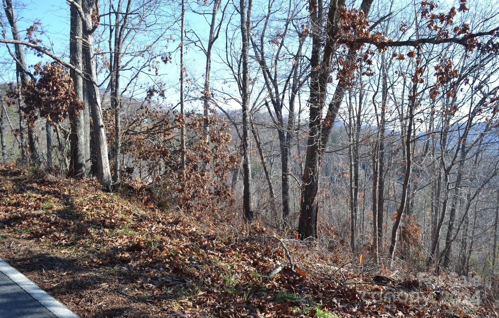 377 Elk Mountain Scenic Highway