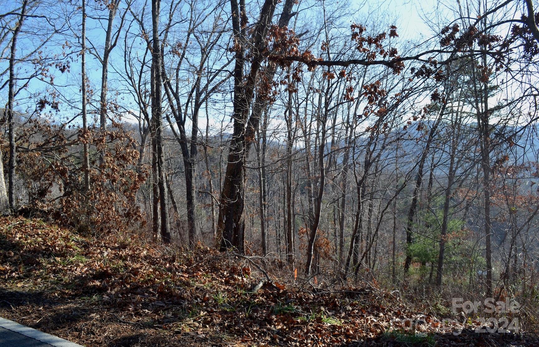 377 Elk Mountain Scenic Highway