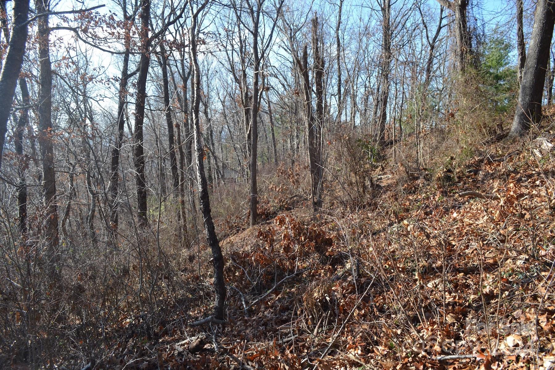 377 Elk Mountain Scenic Highway