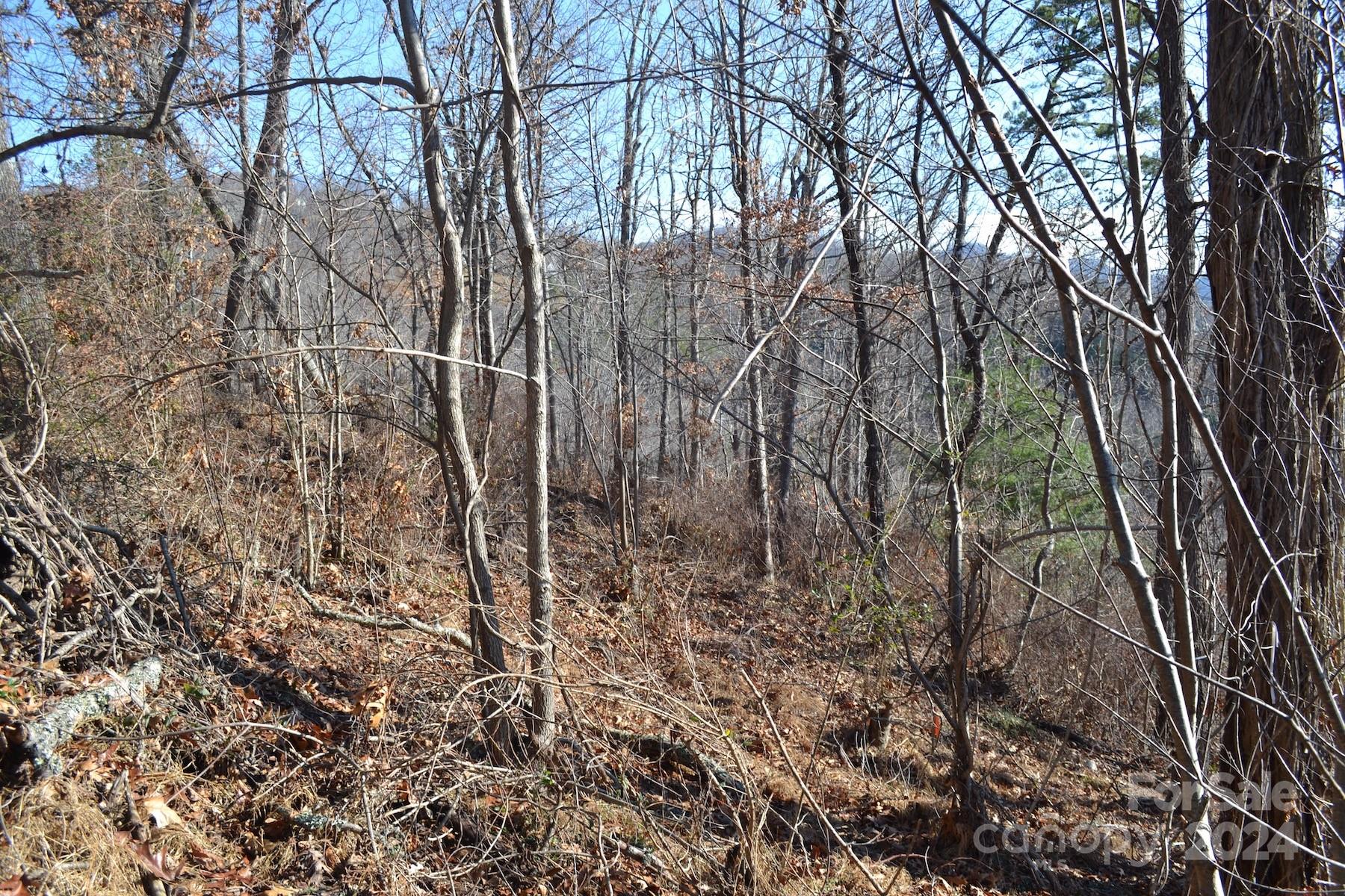 377 Elk Mountain Scenic Highway