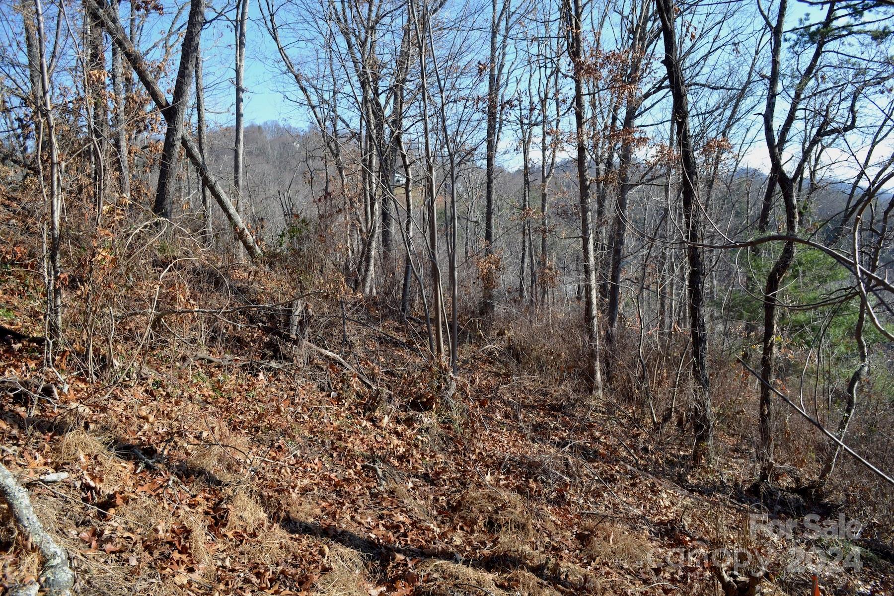 377 Elk Mountain Scenic Highway