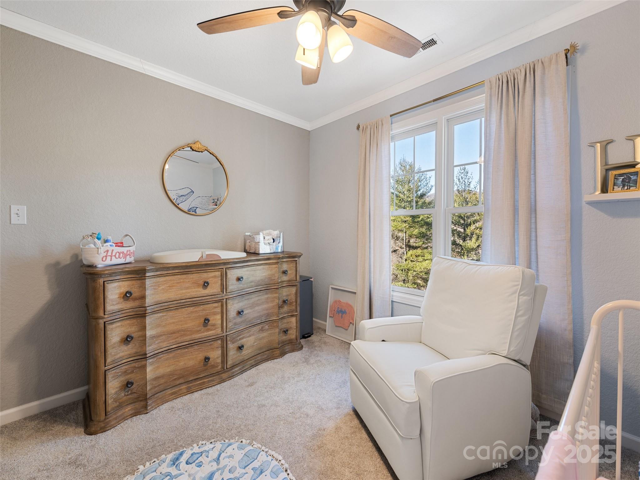 15 Lone Coyote Ridge