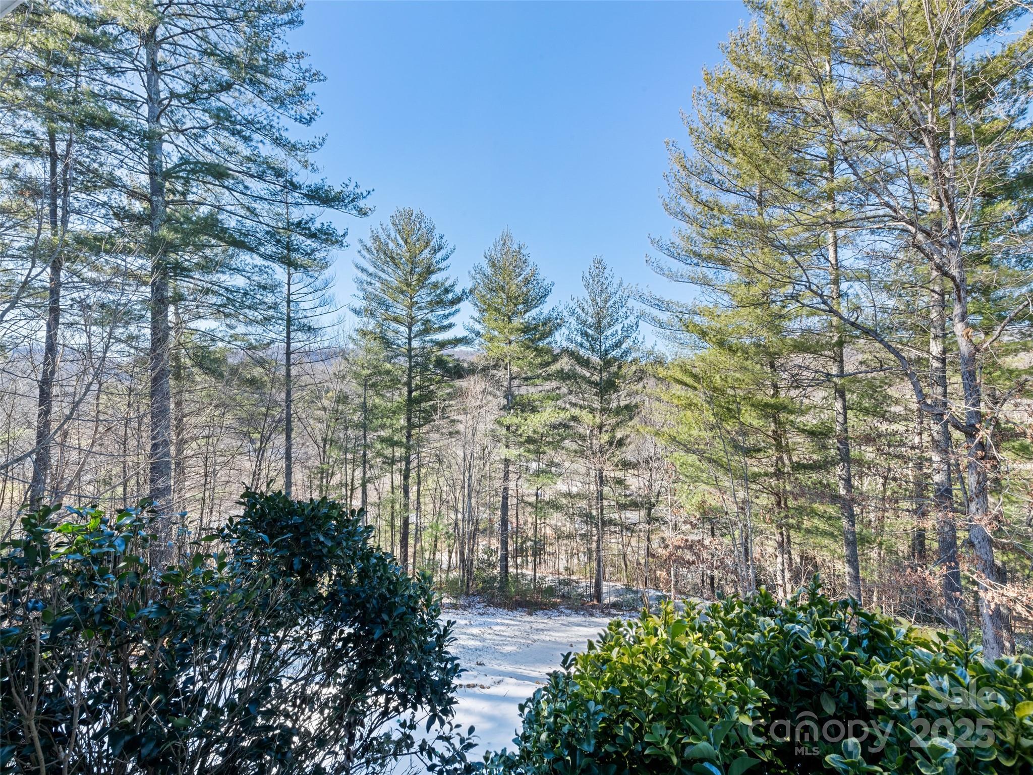 15 Lone Coyote Ridge