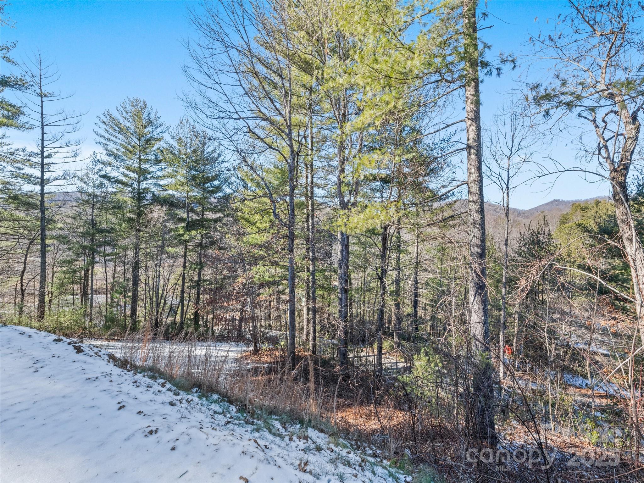 15 Lone Coyote Ridge