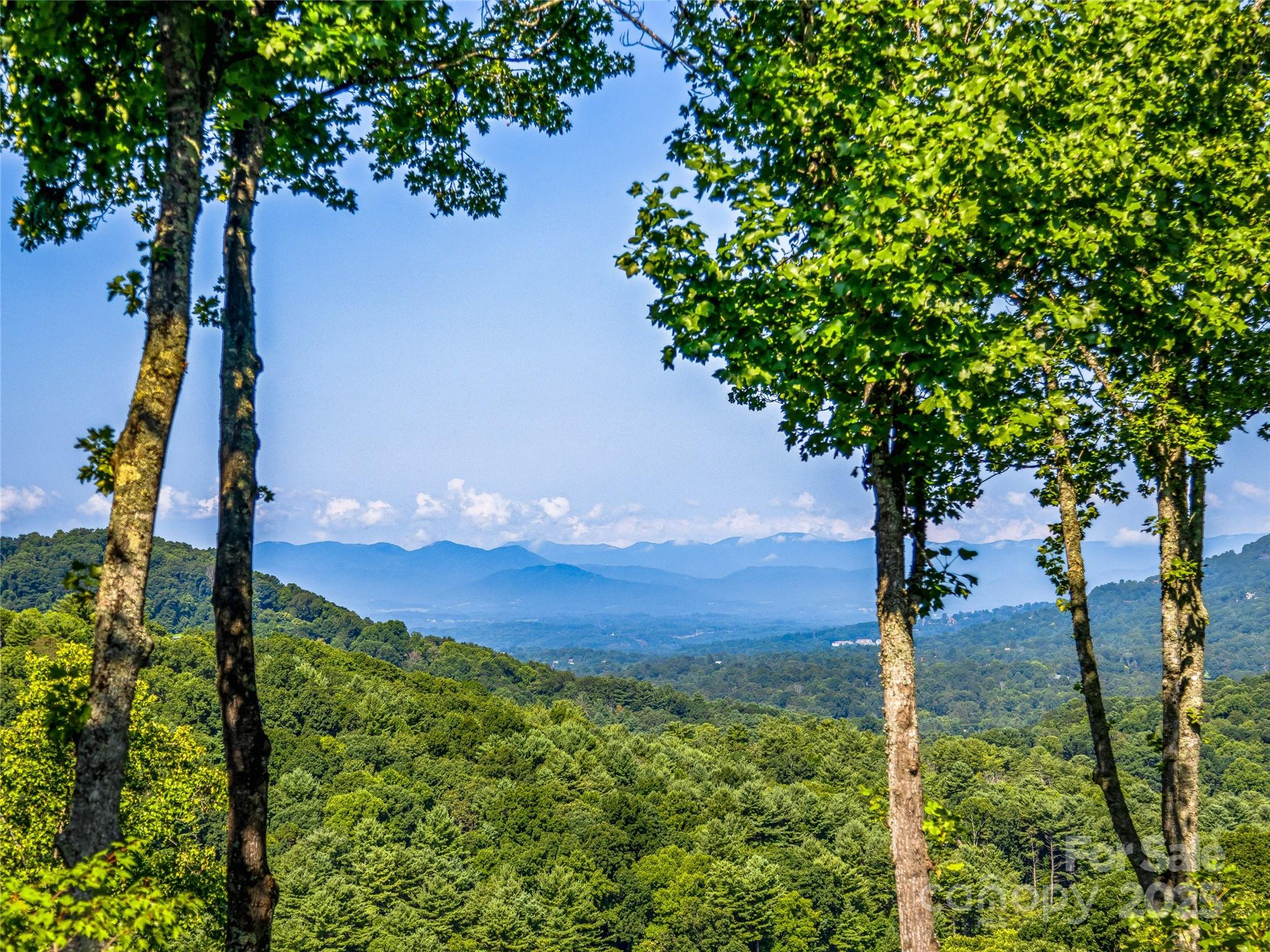 33 & 41 Franklin Trace