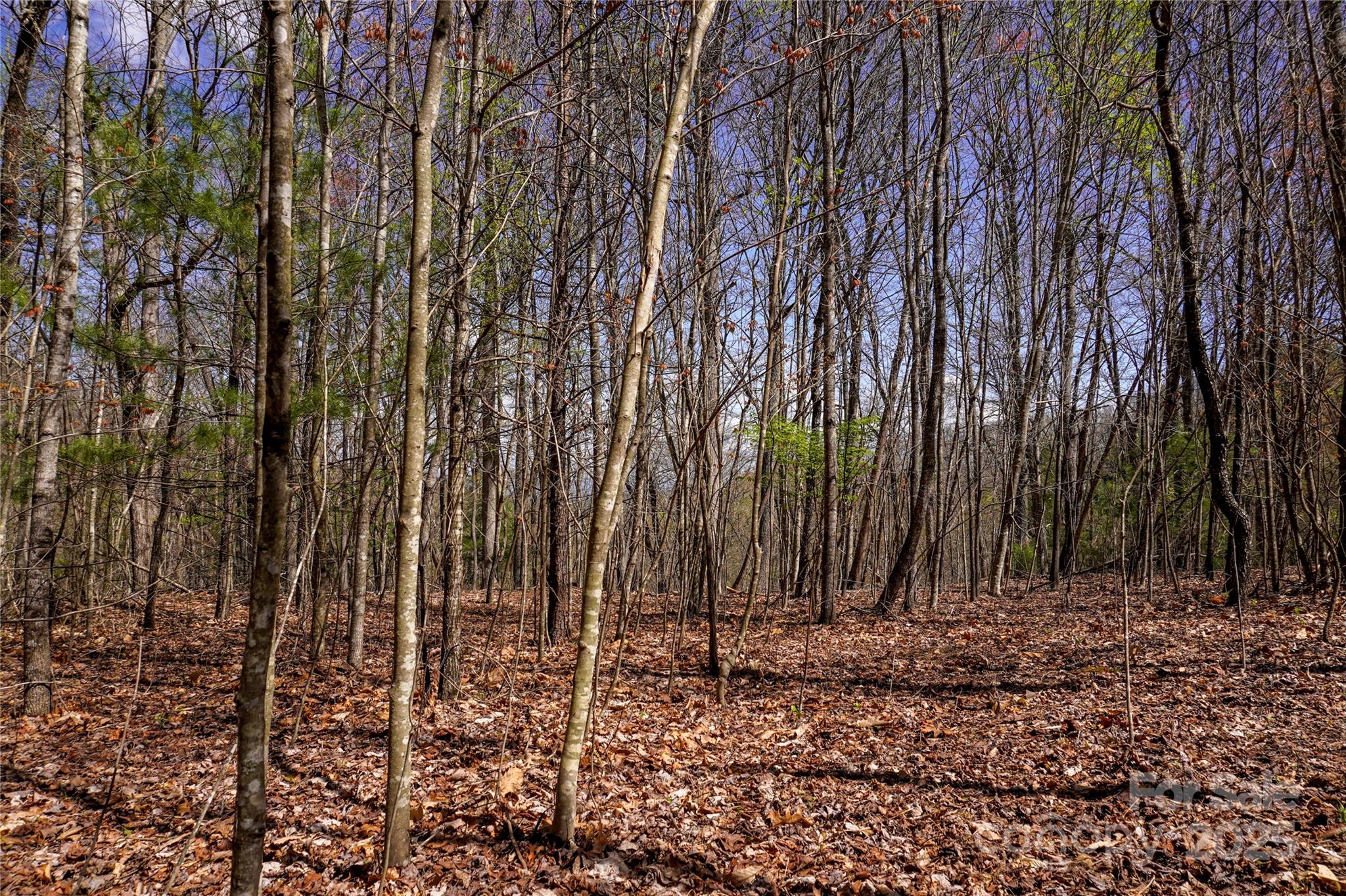 99999 High Top Mountain Drive