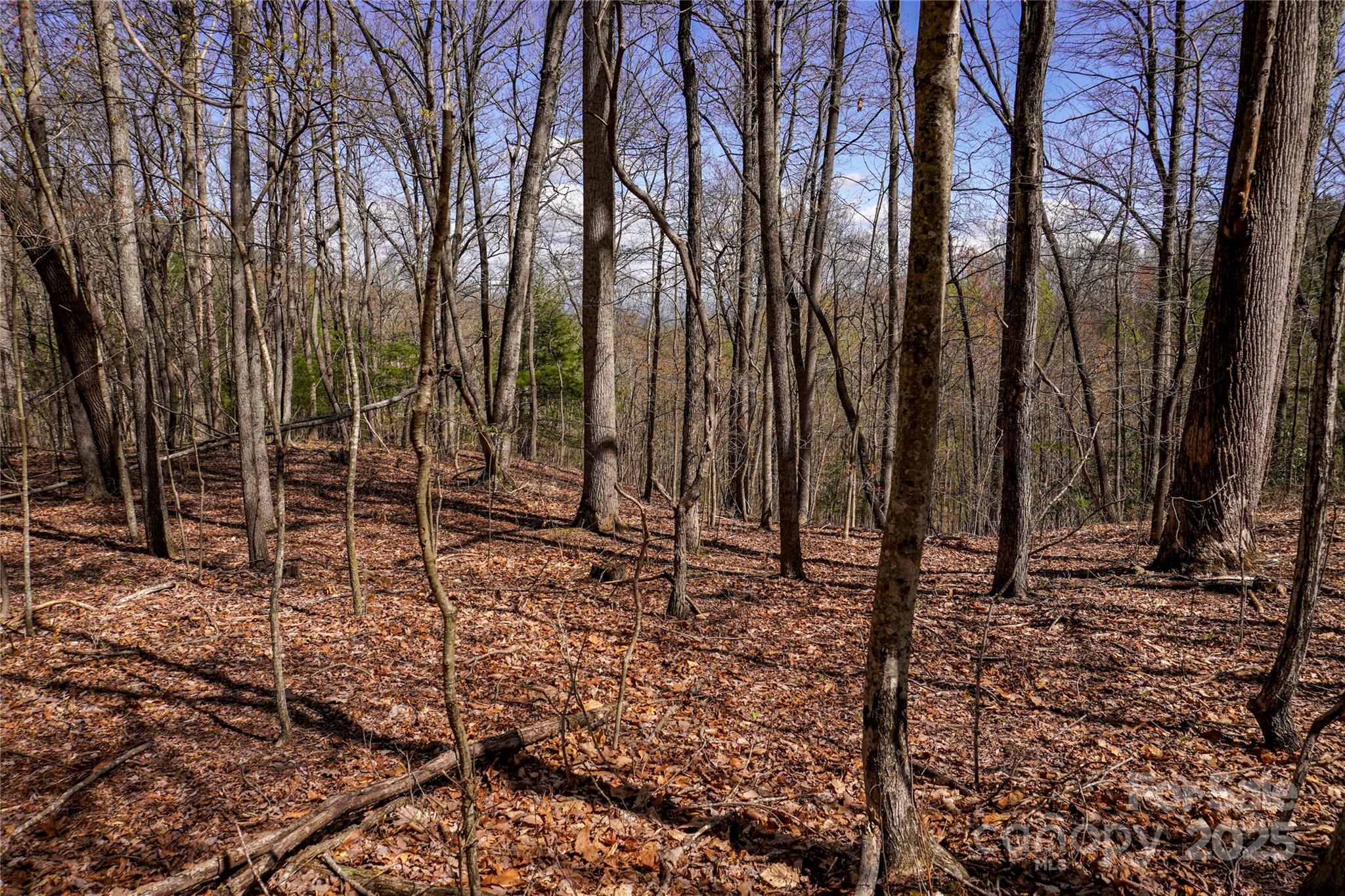 99999 High Top Mountain Drive