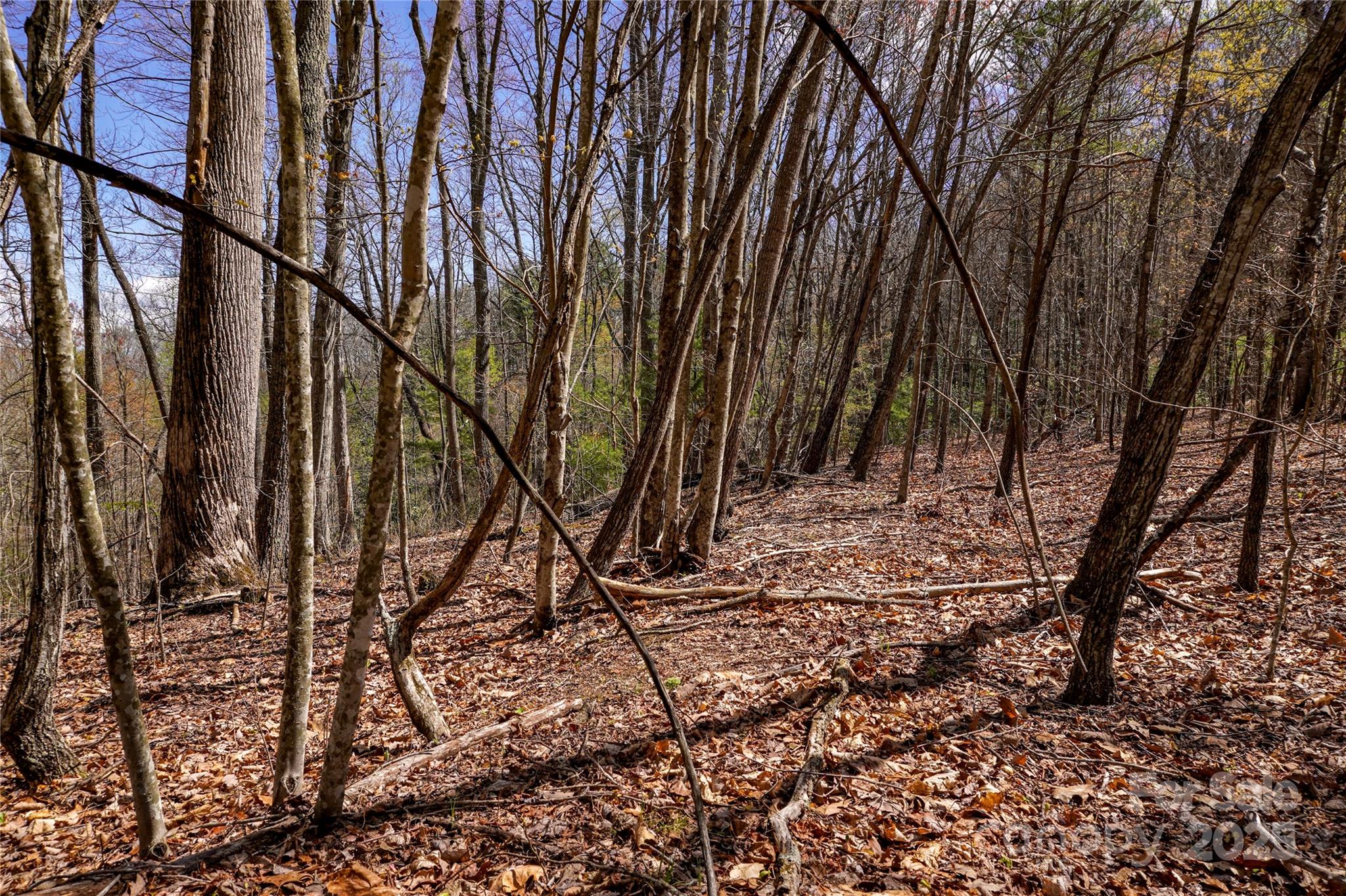 99999 High Top Mountain Drive