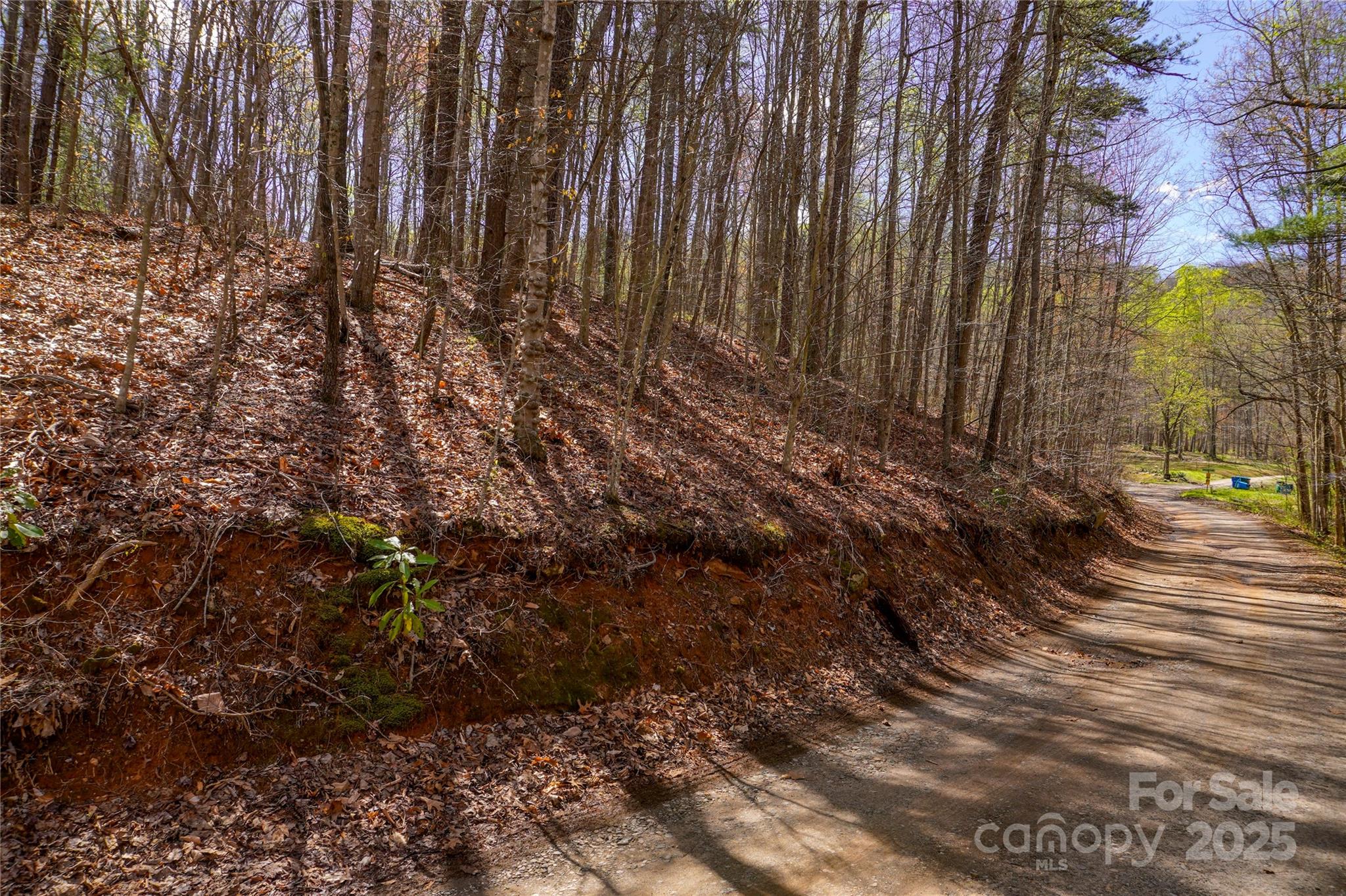 99999 High Top Mountain Drive