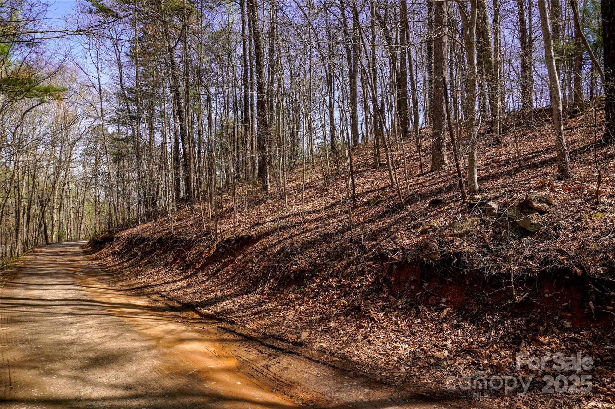 99999 High Top Mountain Drive