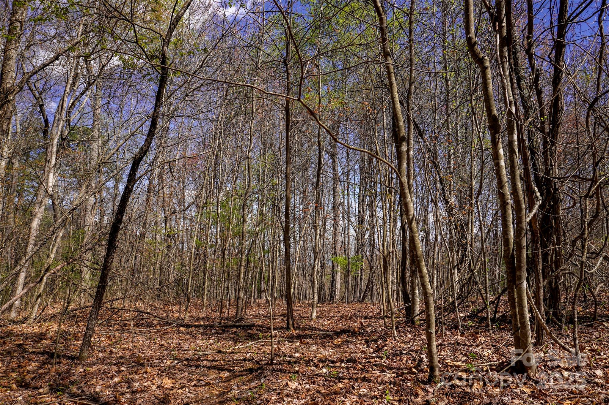 99999 High Top Mountain Drive