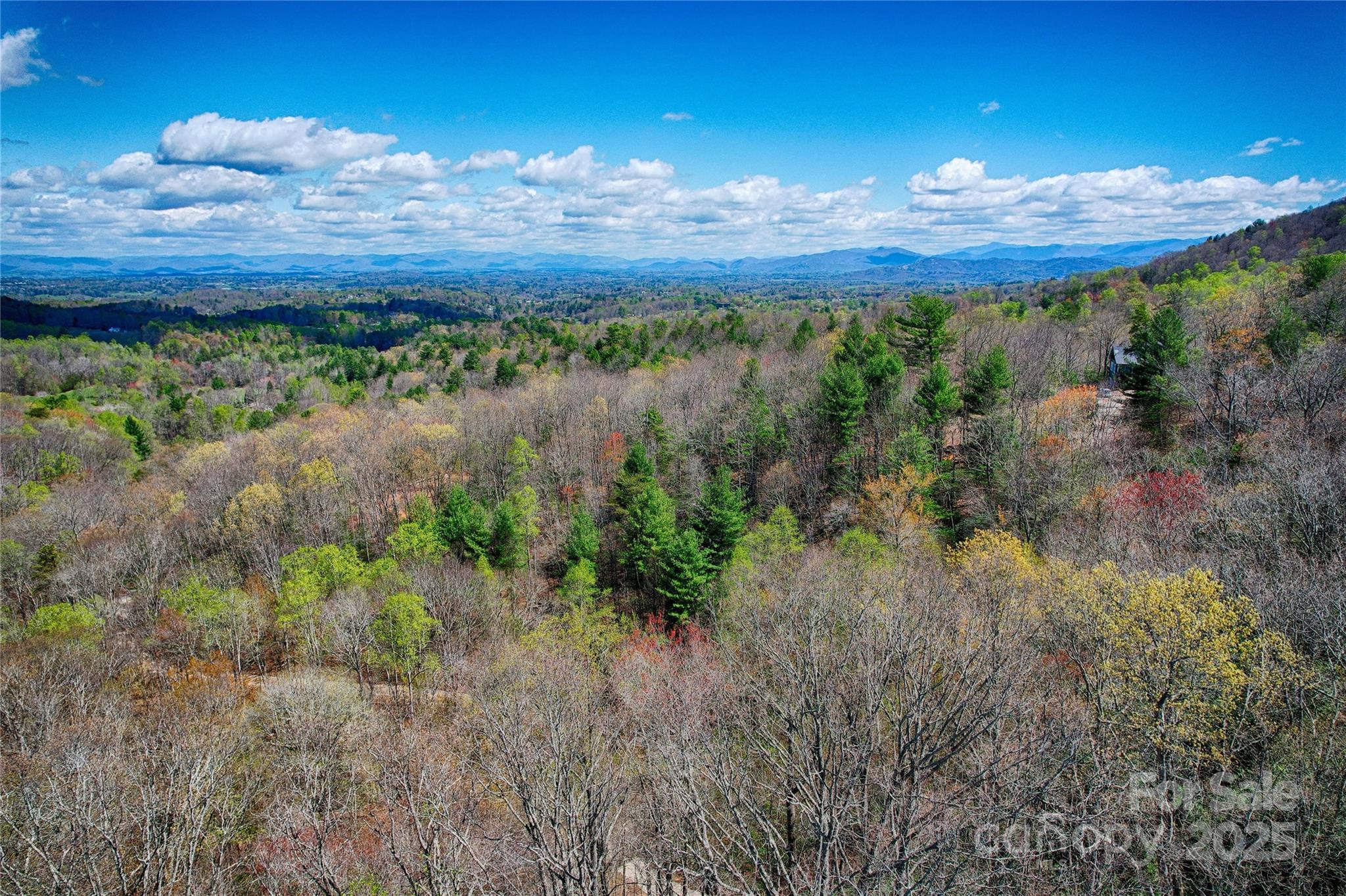 99999 High Top Mountain Drive